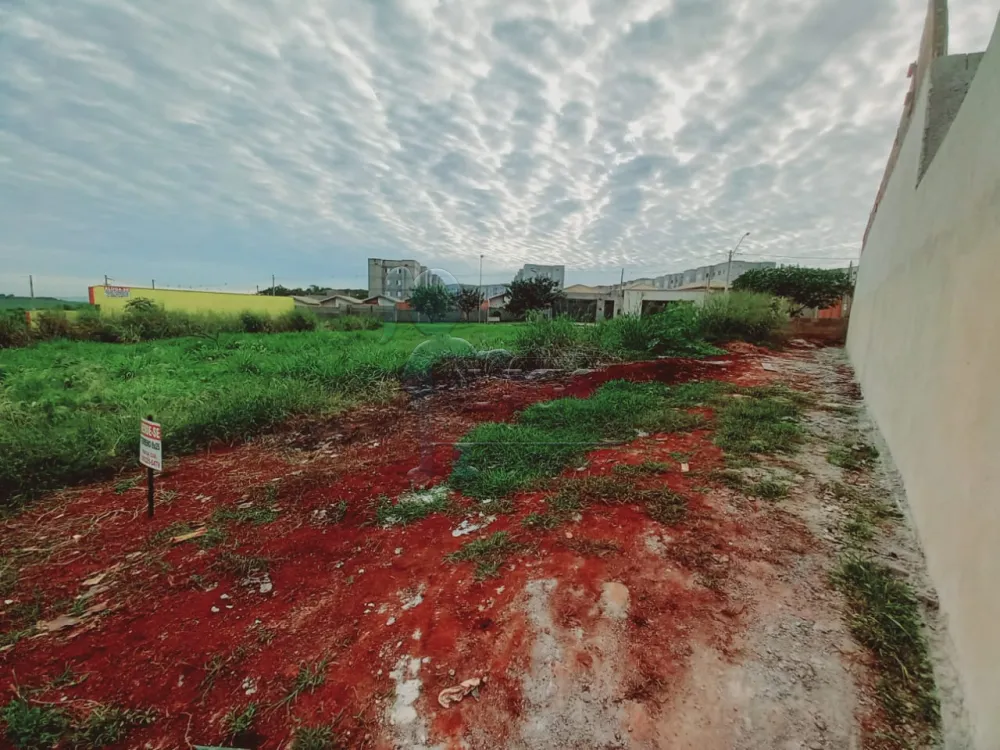 Comprar Terrenos / Padrão em Ribeirão Preto R$ 159.000,00 - Foto 3