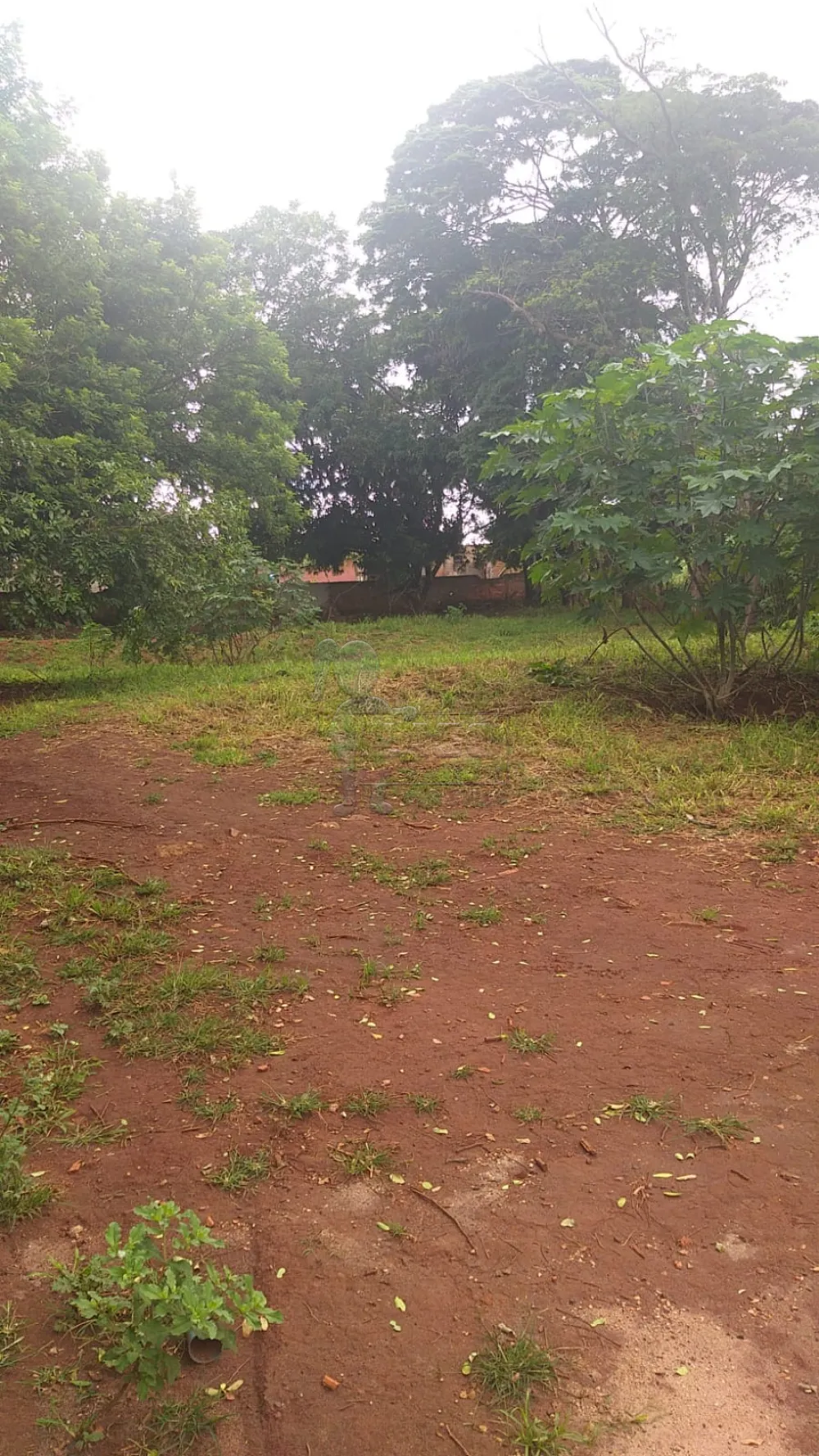 Alugar Casas / Chácara/Rancho em Ribeirão Preto R$ 2.000,00 - Foto 8