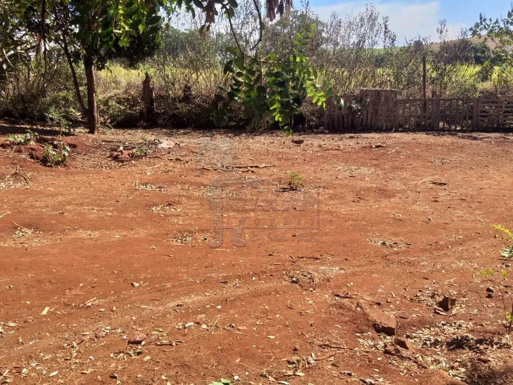 Alugar Casas / Chácara/Rancho em Ribeirão Preto R$ 2.000,00 - Foto 9