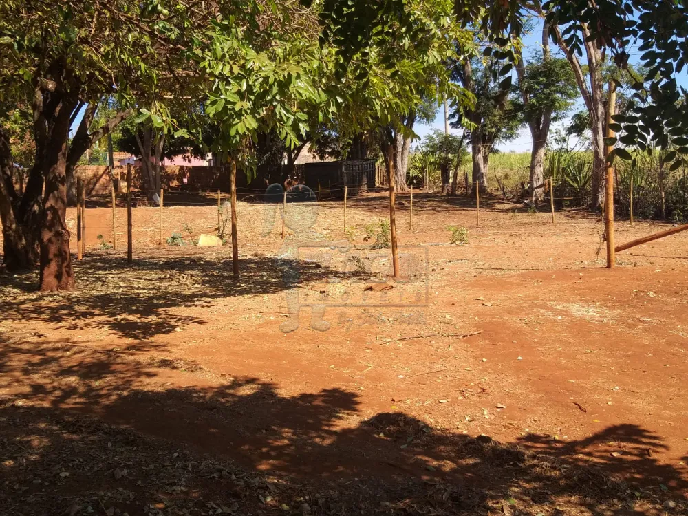 Alugar Casas / Chácara/Rancho em Ribeirão Preto R$ 2.000,00 - Foto 1