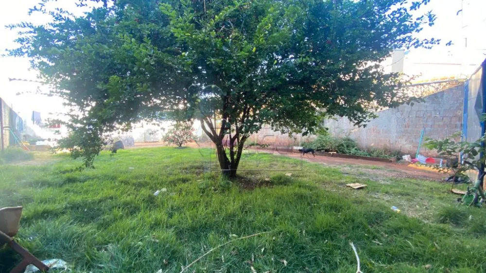 Comprar Casa / Padrão em Barrinha R$ 150.000,00 - Foto 2