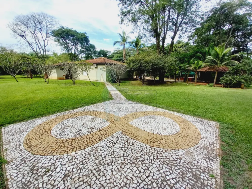 Alugar Casas / Chácara/Rancho em Ribeirão Preto R$ 1.500,00 - Foto 12