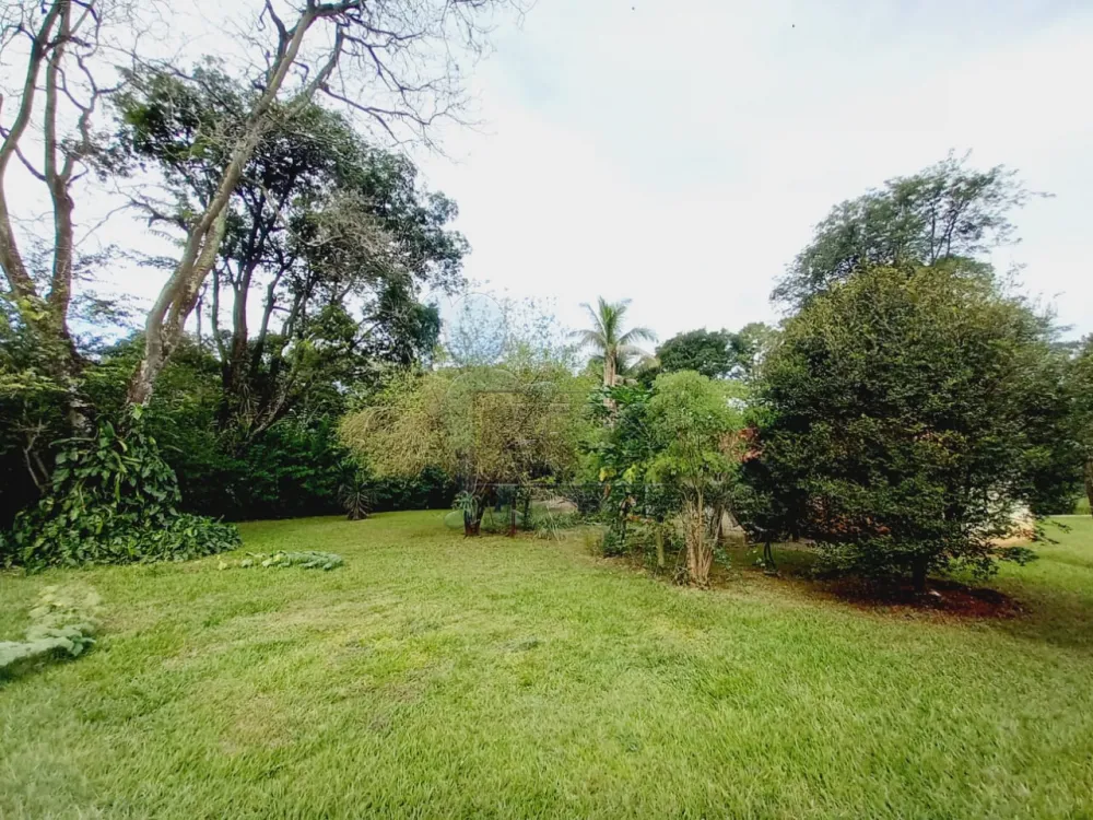 Alugar Casas / Chácara/Rancho em Ribeirão Preto R$ 1.500,00 - Foto 31