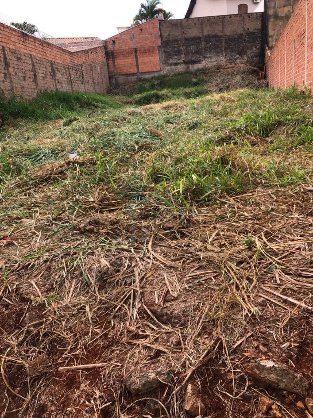 Comprar Terrenos / Padrão em Ribeirão Preto R$ 340.000,00 - Foto 1