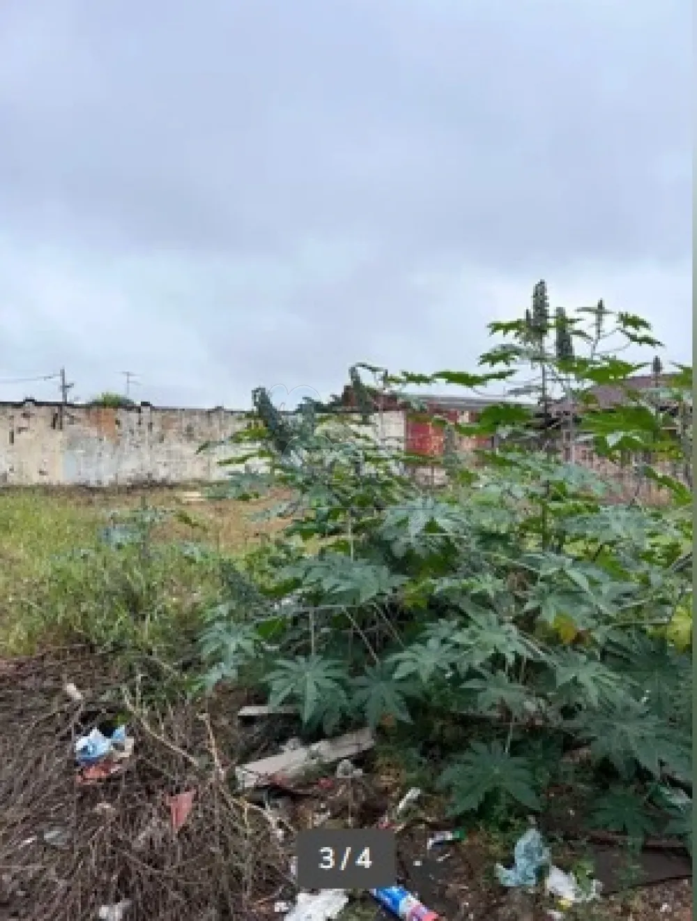 Comprar Terrenos / Padrão em Ribeirão Preto R$ 300.000,00 - Foto 1