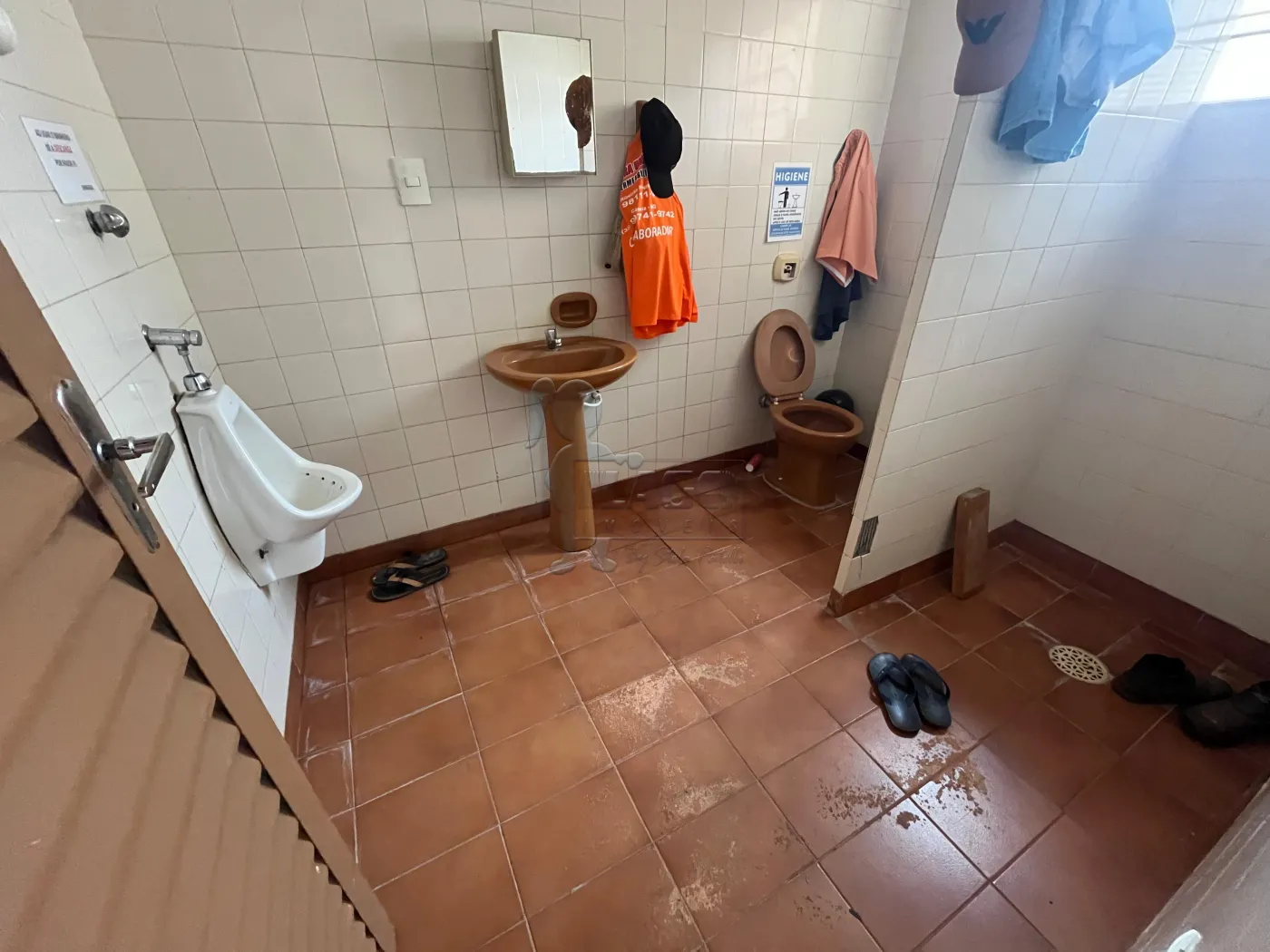 Alugar Comercial padrão / Galpão - Armazém em Ribeirão Preto R$ 5.500,00 - Foto 14