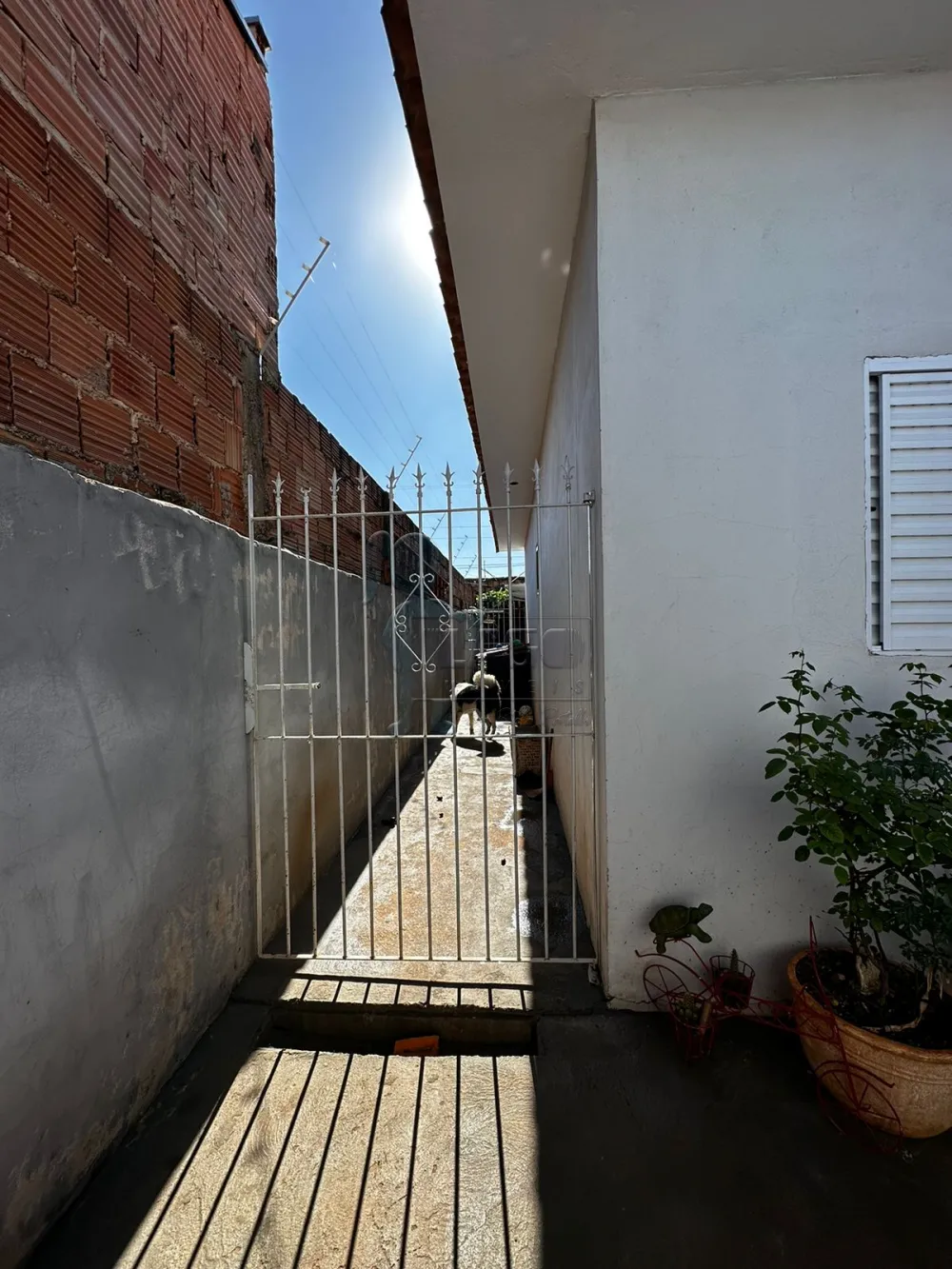 Comprar Casas / Padrão em Sertãozinho R$ 370.000,00 - Foto 4