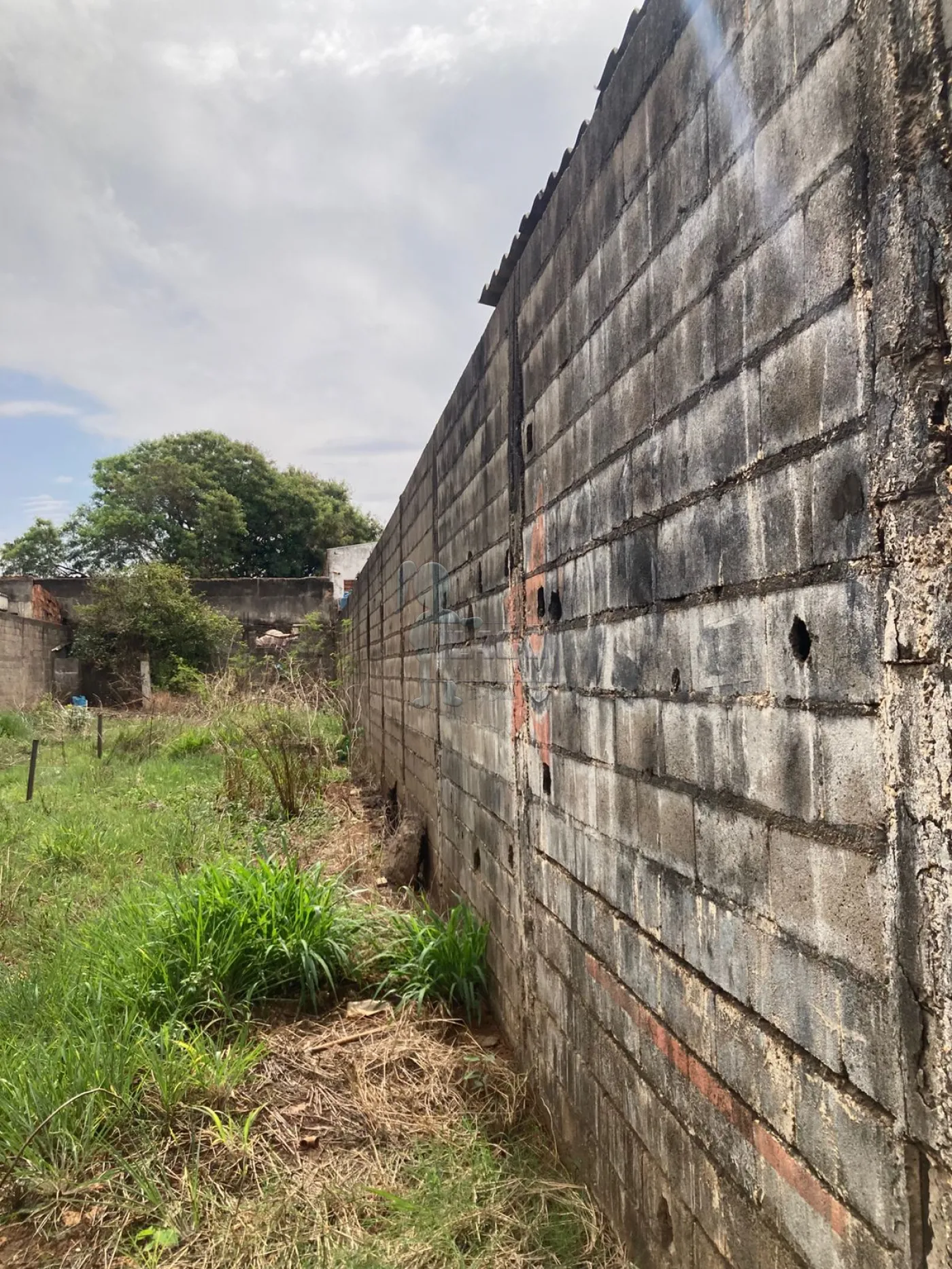 Alugar Terreno / Padrão em Ribeirão Preto R$ 3.500,00 - Foto 3