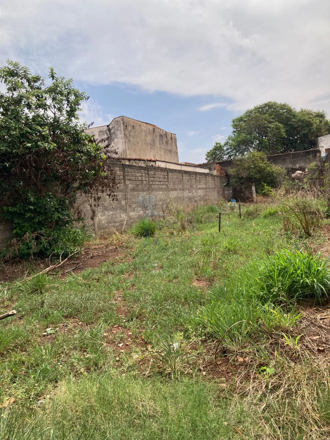 Alugar Terreno / Padrão em Ribeirão Preto R$ 3.500,00 - Foto 4