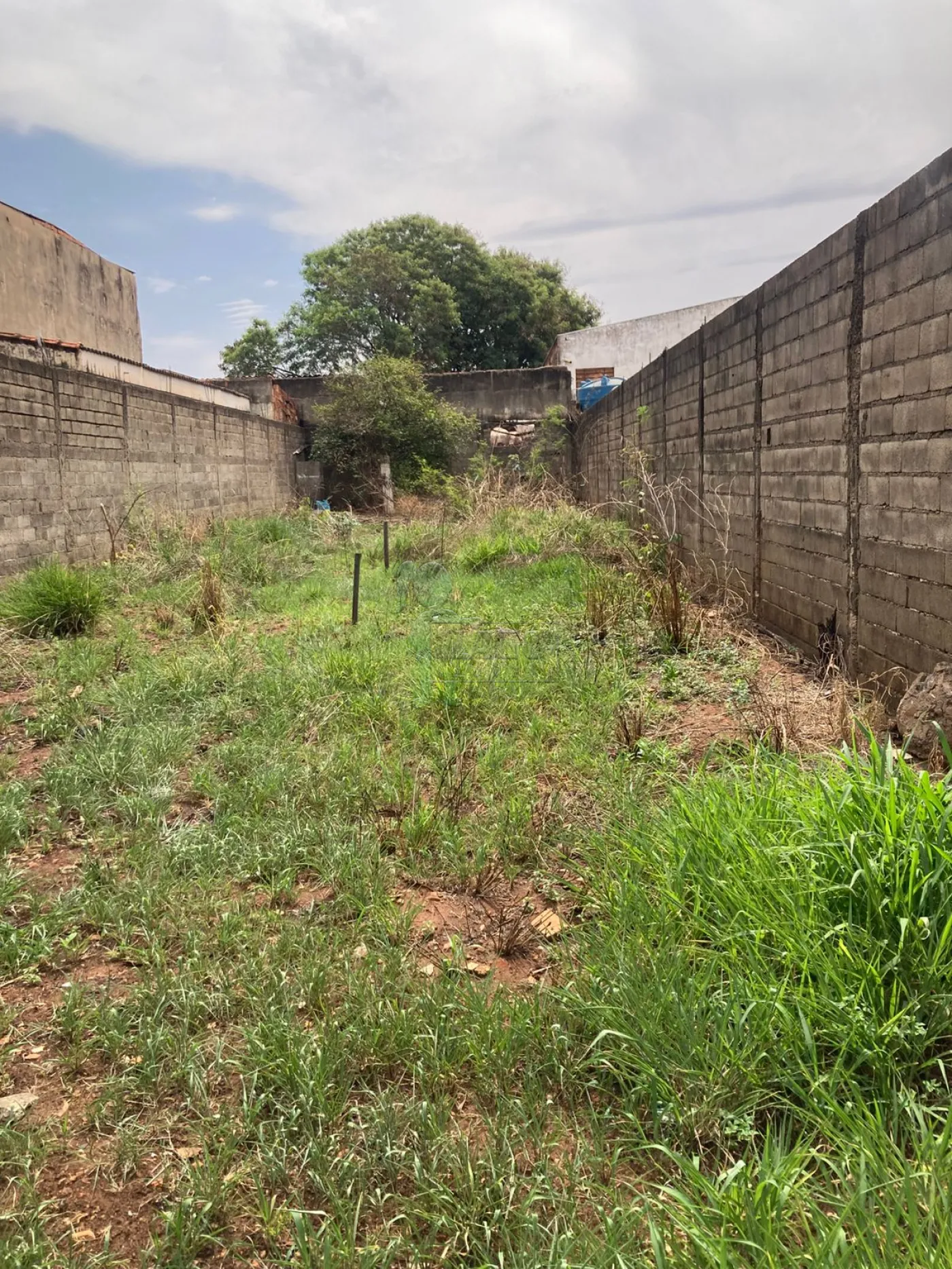Alugar Terreno / Padrão em Ribeirão Preto R$ 3.500,00 - Foto 5