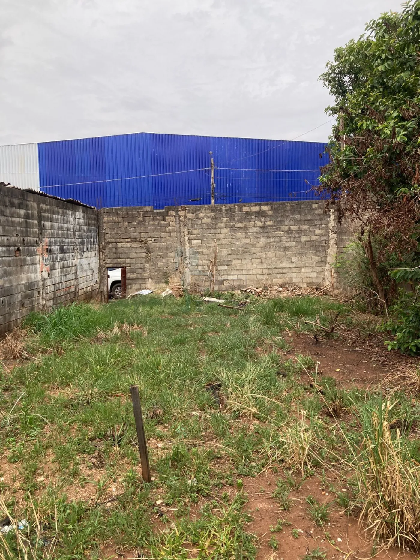 Alugar Terreno / Padrão em Ribeirão Preto R$ 3.500,00 - Foto 6