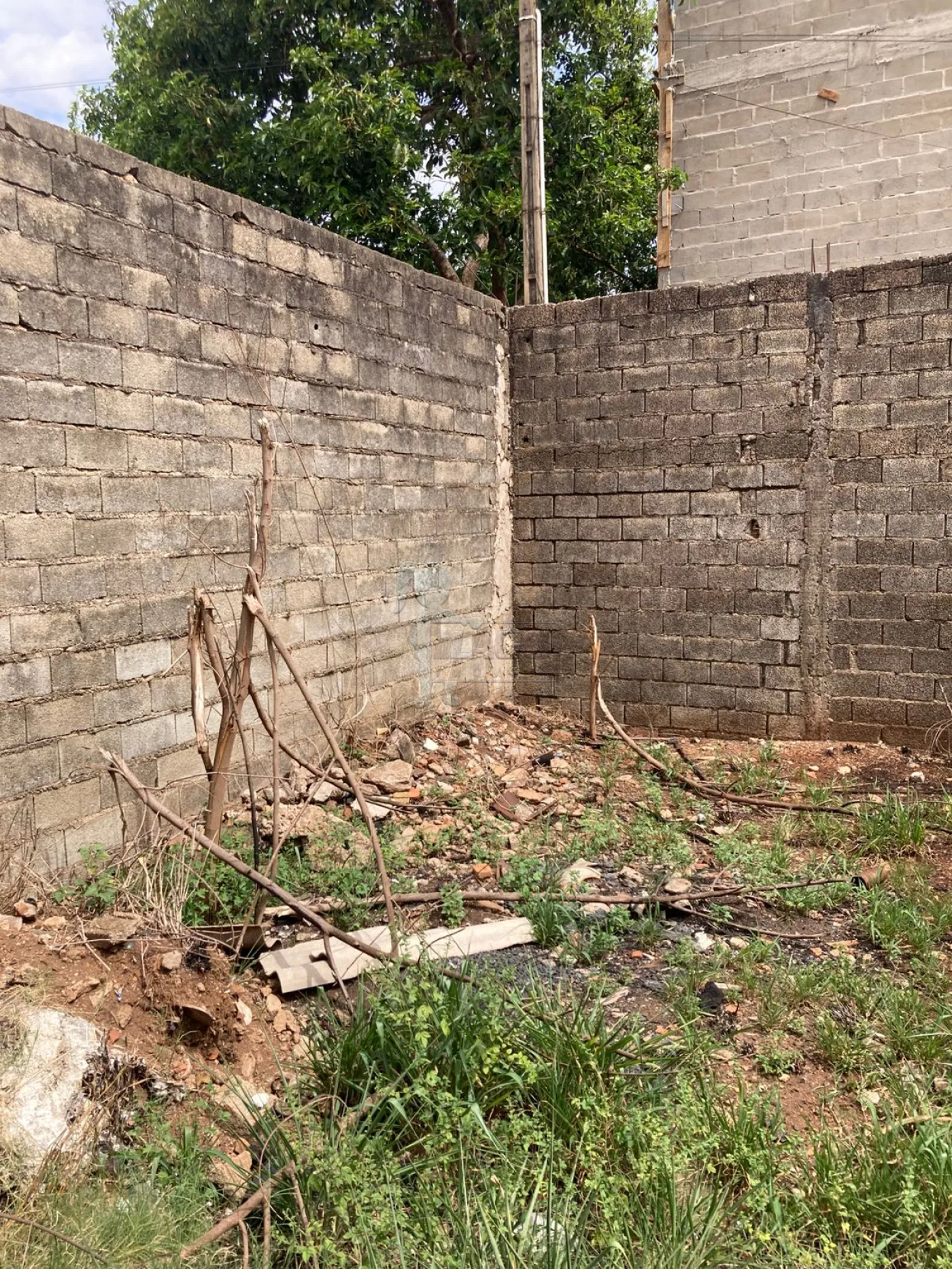 Alugar Terreno / Padrão em Ribeirão Preto R$ 3.500,00 - Foto 7
