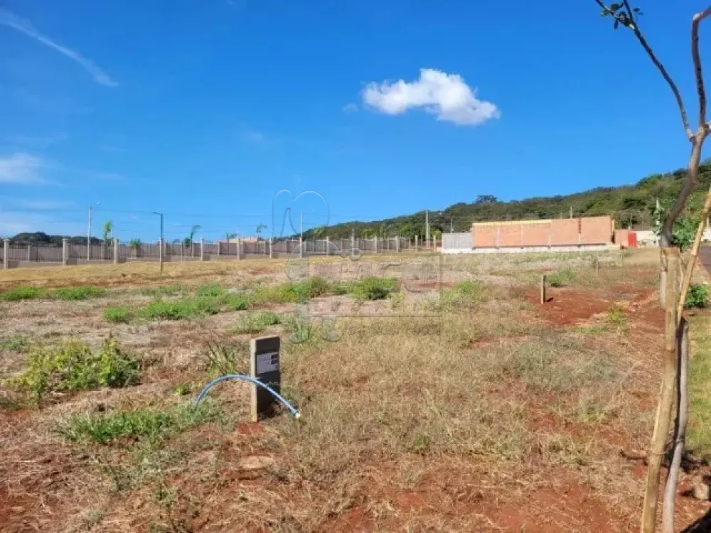 Comprar Terrenos / Condomínio em Ribeirão Preto R$ 287.000,00 - Foto 2