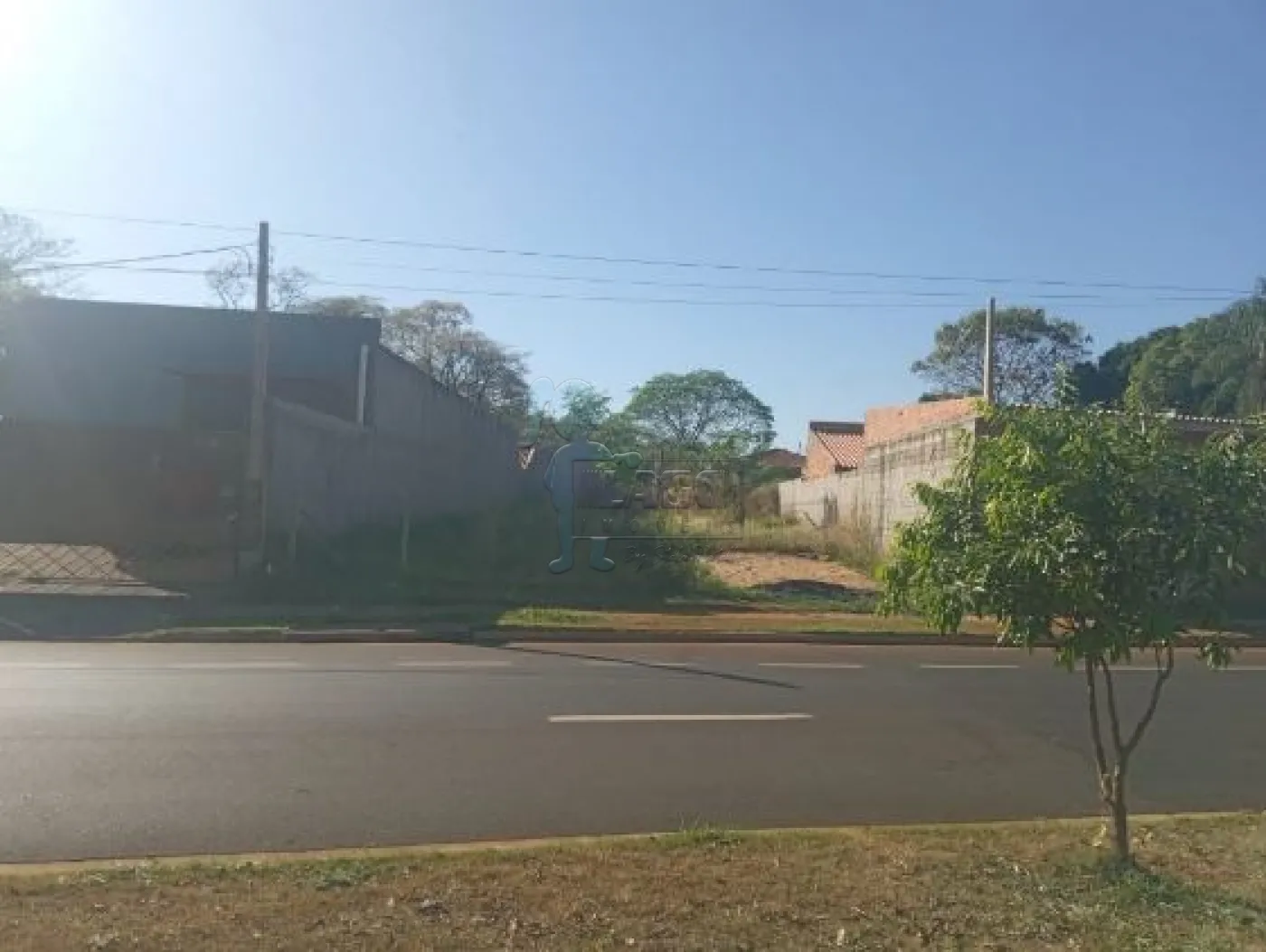 Comprar Terrenos / Padrão em Ribeirão Preto R$ 250.000,00 - Foto 1