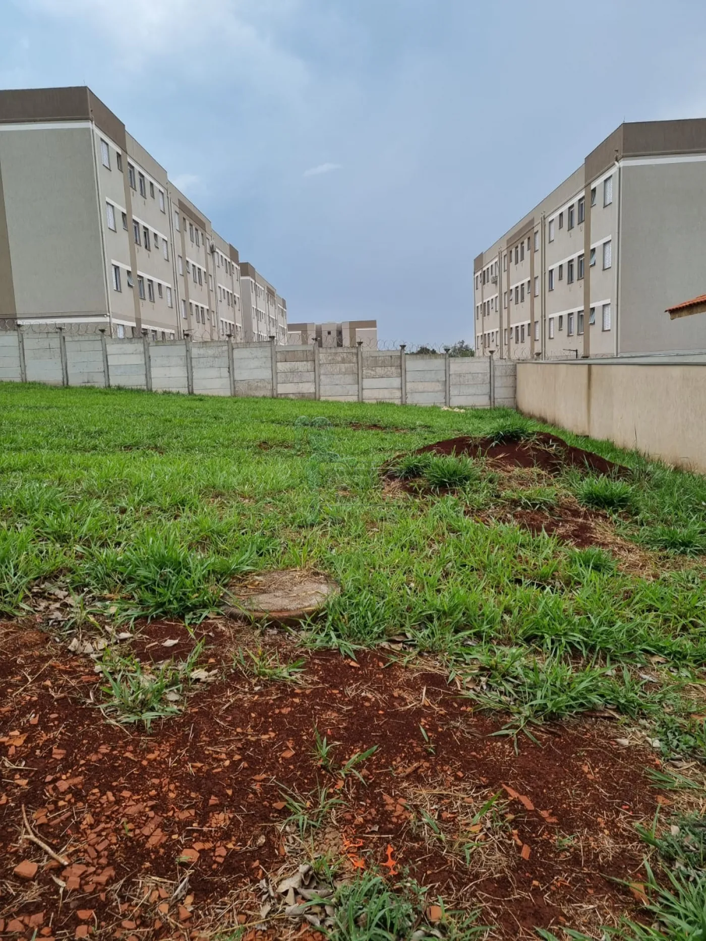 Alugar Terrenos / Padrão em Bonfim Paulista R$ 1.100,00 - Foto 1