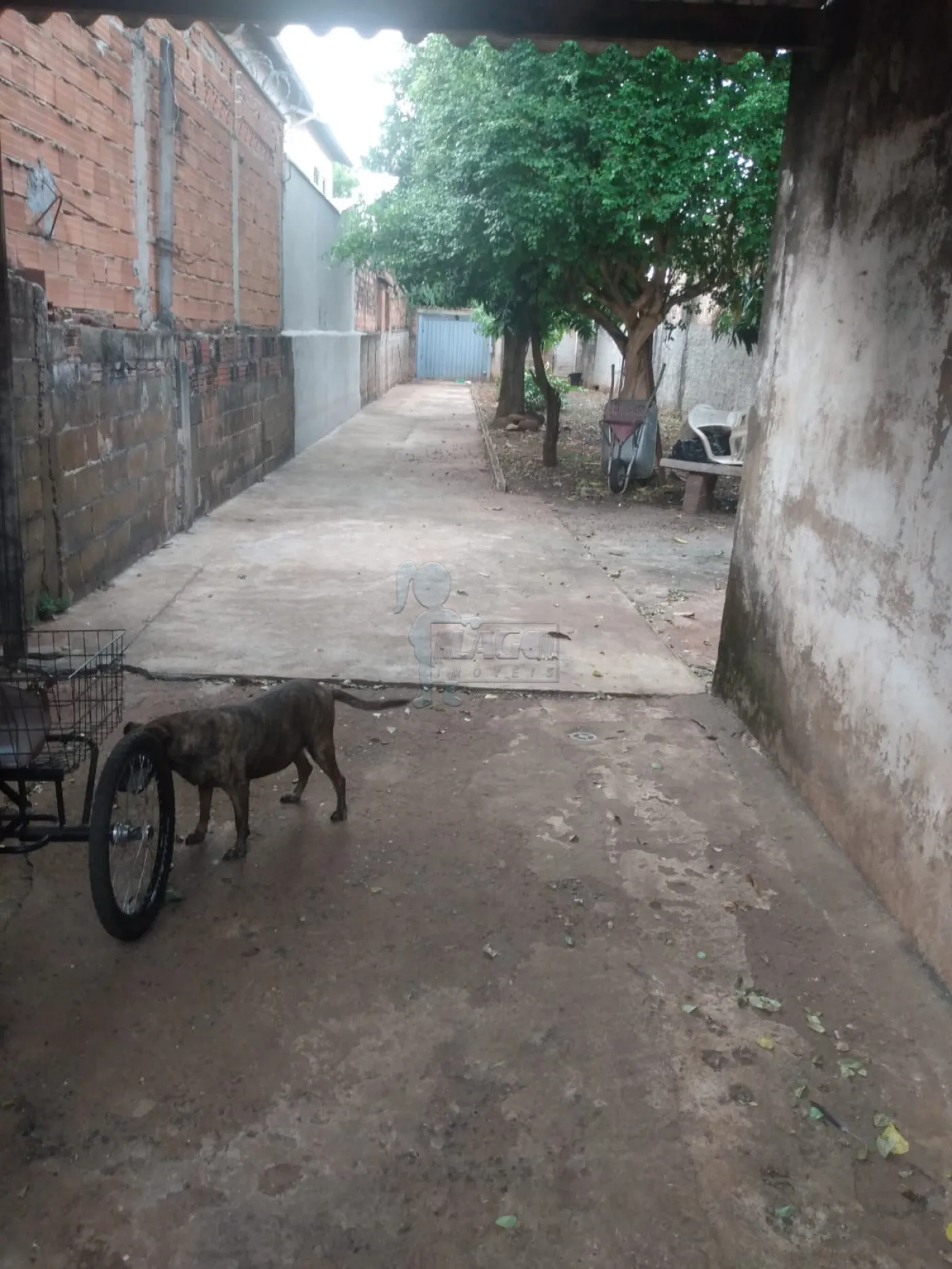 Comprar Casas / Padrão em Ribeirão Preto R$ 430.000,00 - Foto 1