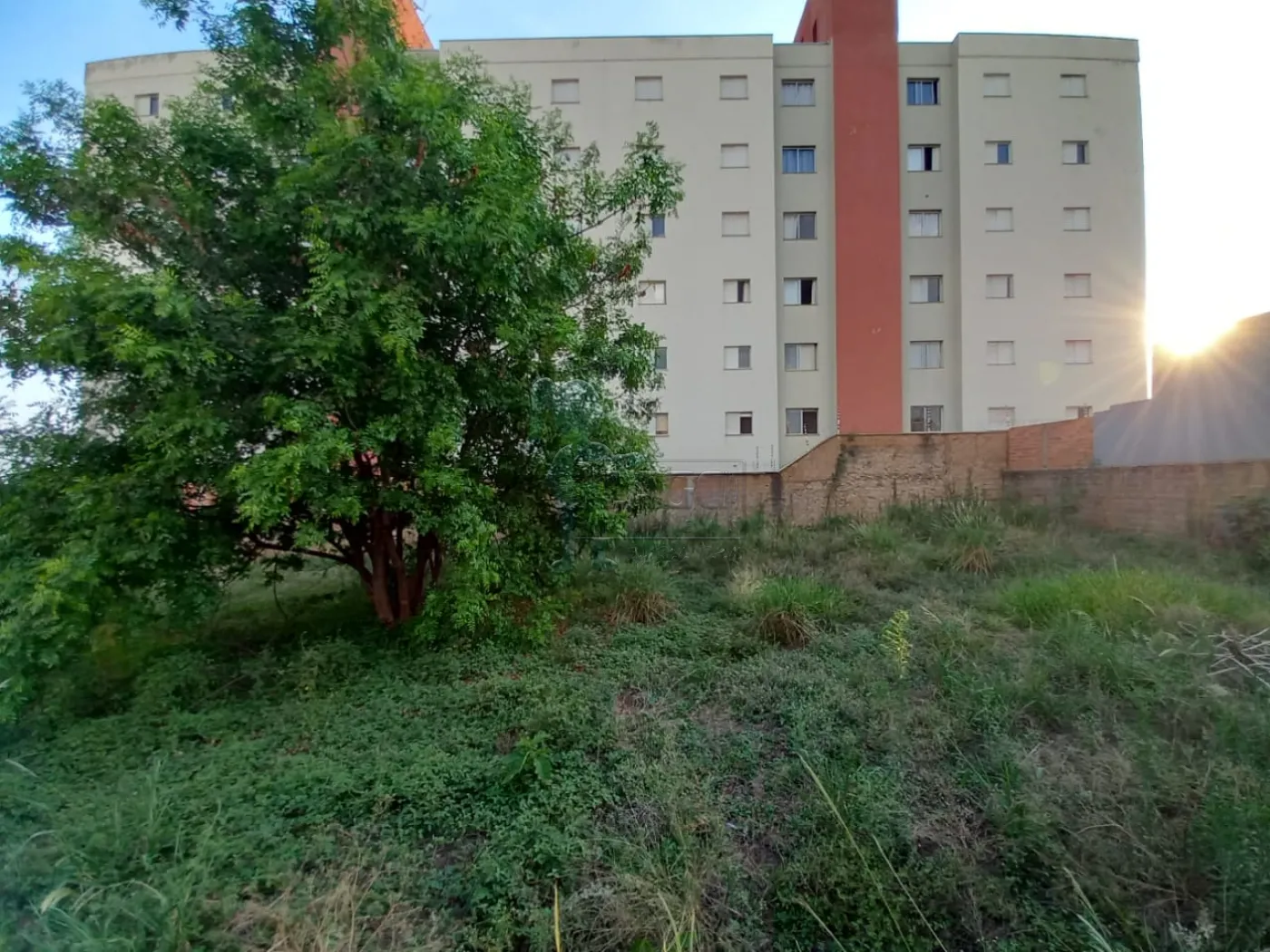 Comprar Terrenos / Padrão em Ribeirão Preto R$ 595.000,00 - Foto 4