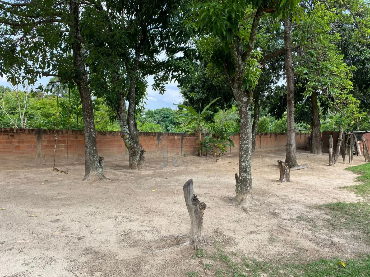 Comprar Rurais / Fazenda/Sítio em Cajuru R$ 450.000,00 - Foto 2