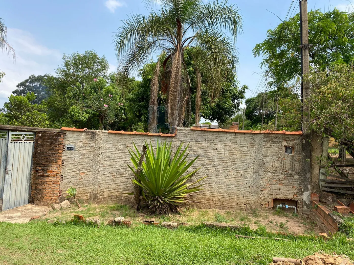 Comprar Rurais / Fazenda/Sítio em Cajuru R$ 450.000,00 - Foto 3