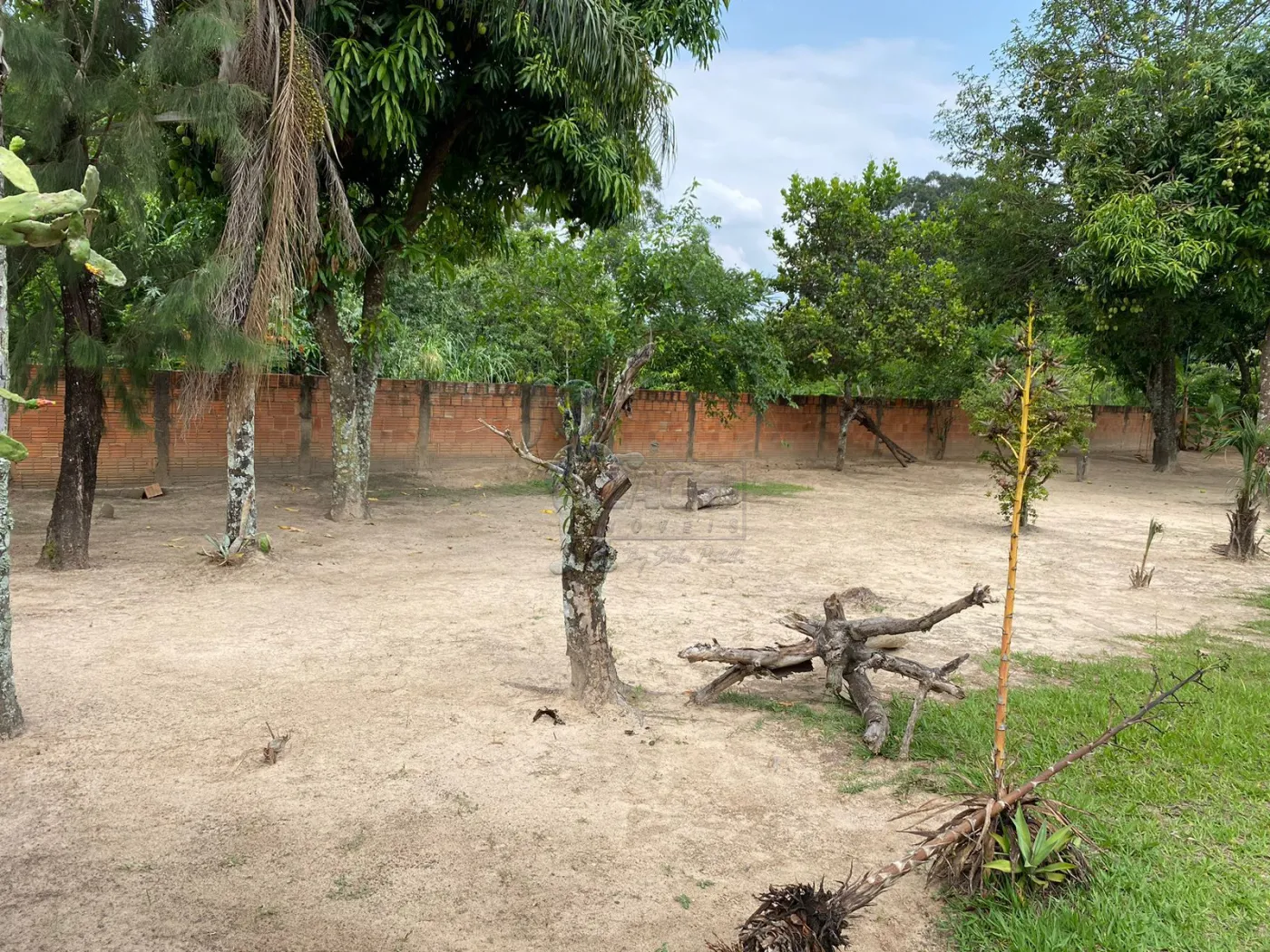 Comprar Rurais / Fazenda/Sítio em Cajuru R$ 450.000,00 - Foto 4