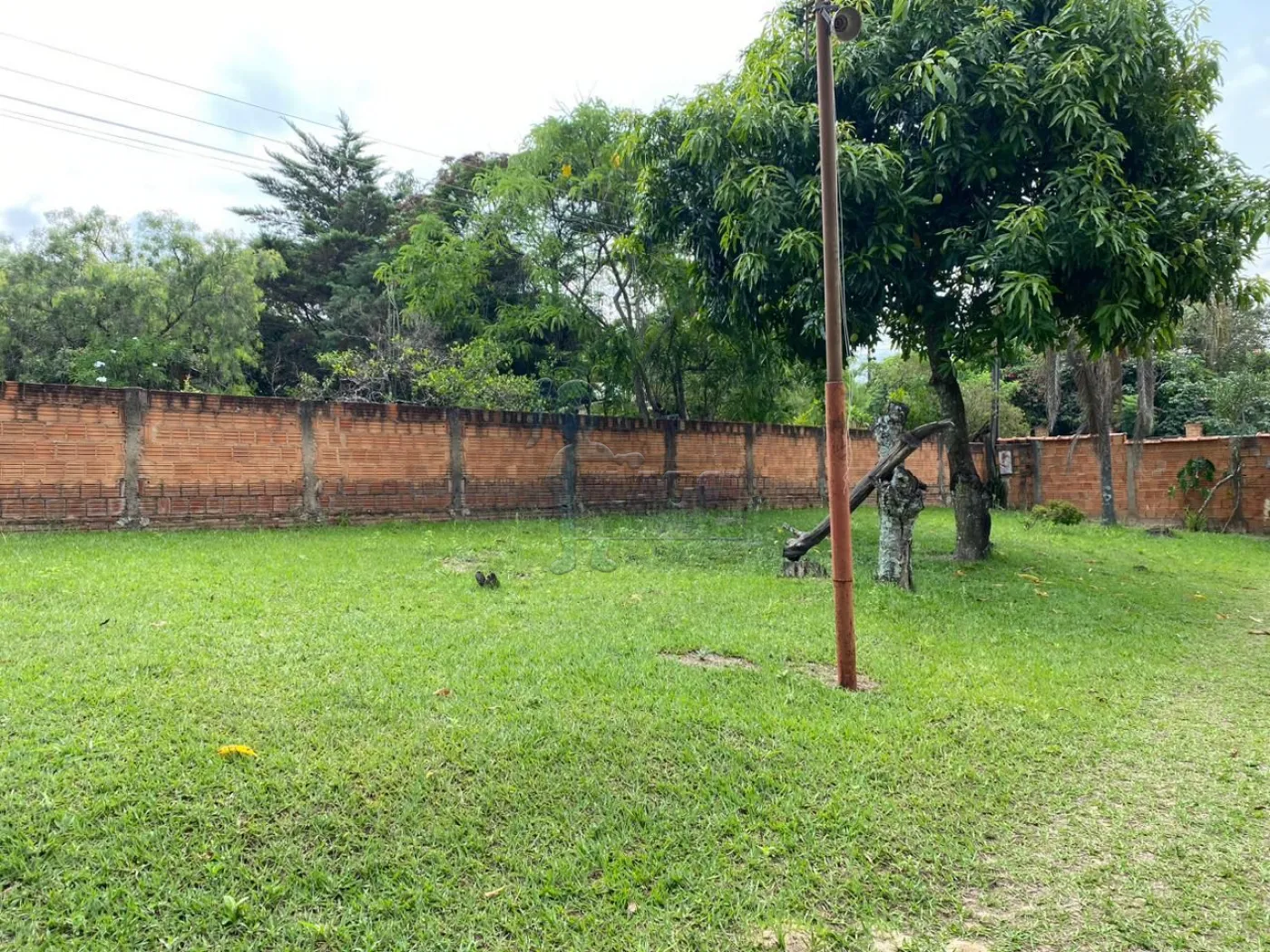 Comprar Rurais / Fazenda/Sítio em Cajuru R$ 450.000,00 - Foto 11