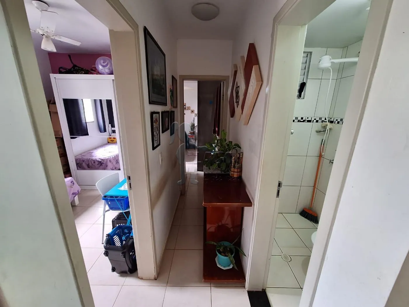 Alugar Apartamentos / Padrão em Ribeirão Preto R$ 880,00 - Foto 4