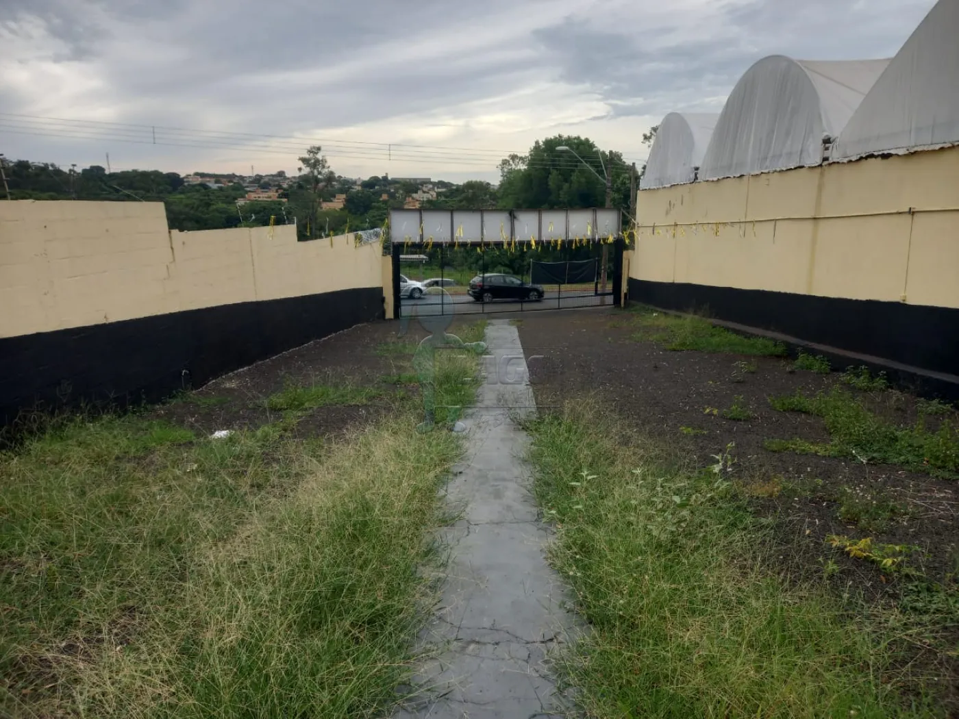 Alugar Comercial / Imóvel Comercial em Ribeirão Preto R$ 4.100,00 - Foto 3