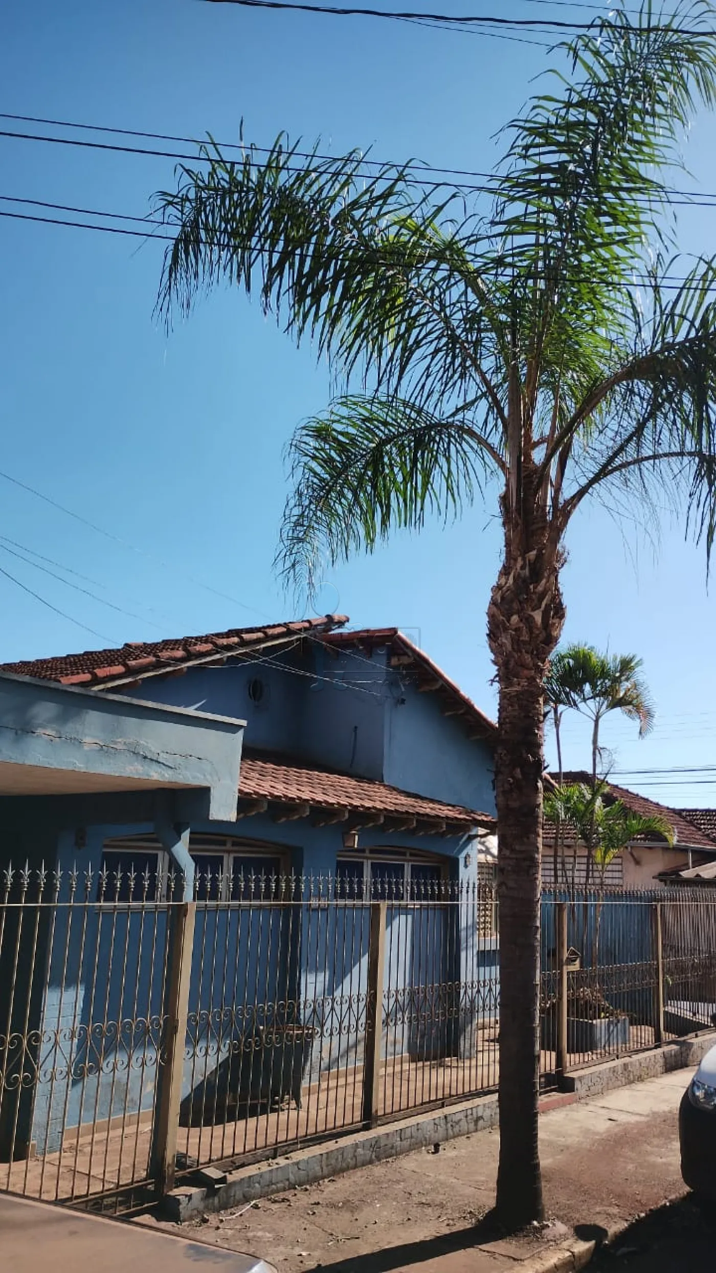 Comprar Casas / Padrão em Sertãozinho R$ 750.000,00 - Foto 3