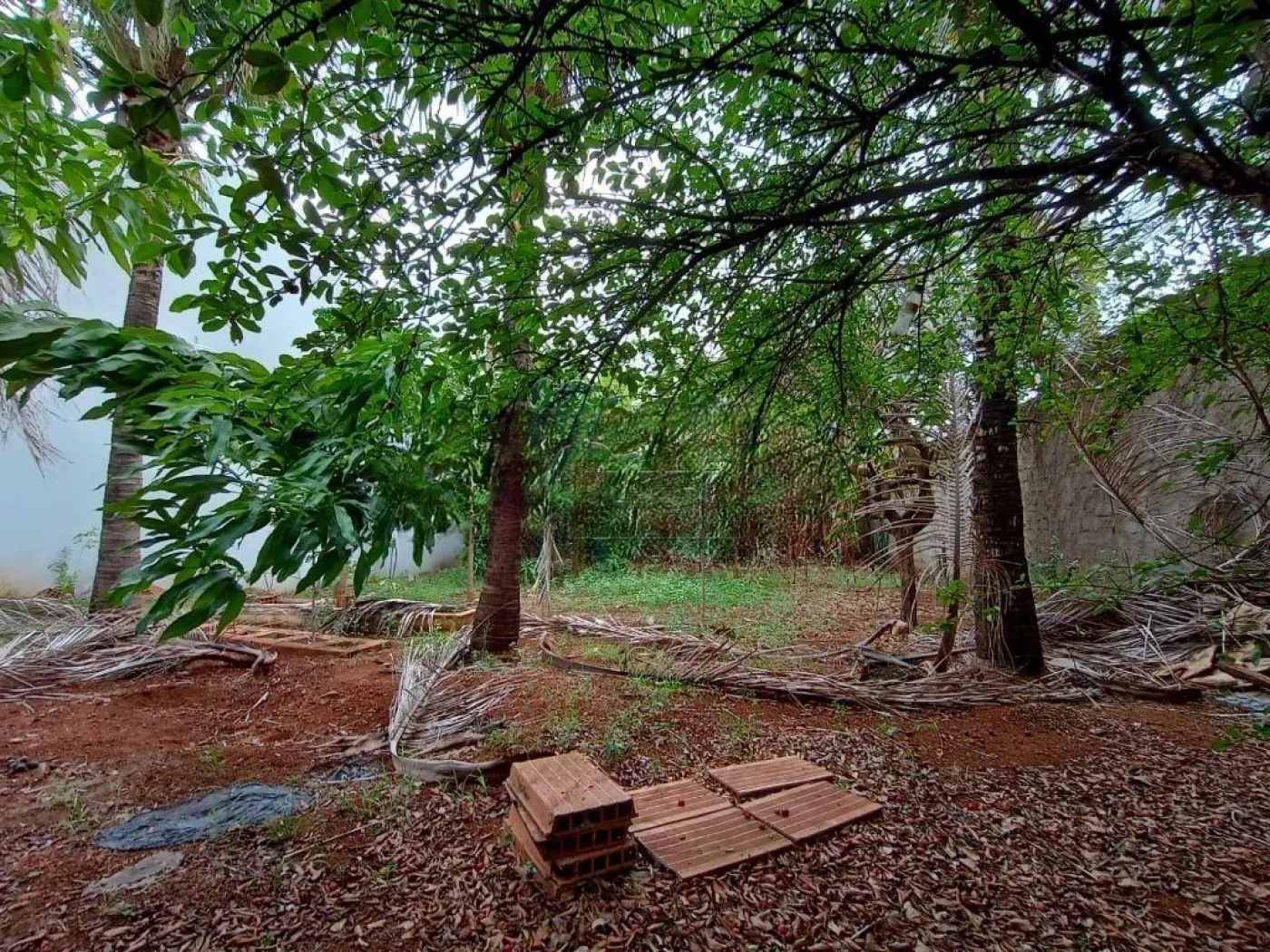 Alugar Terrenos / Padrão em Ribeirão Preto R$ 5.000,00 - Foto 1