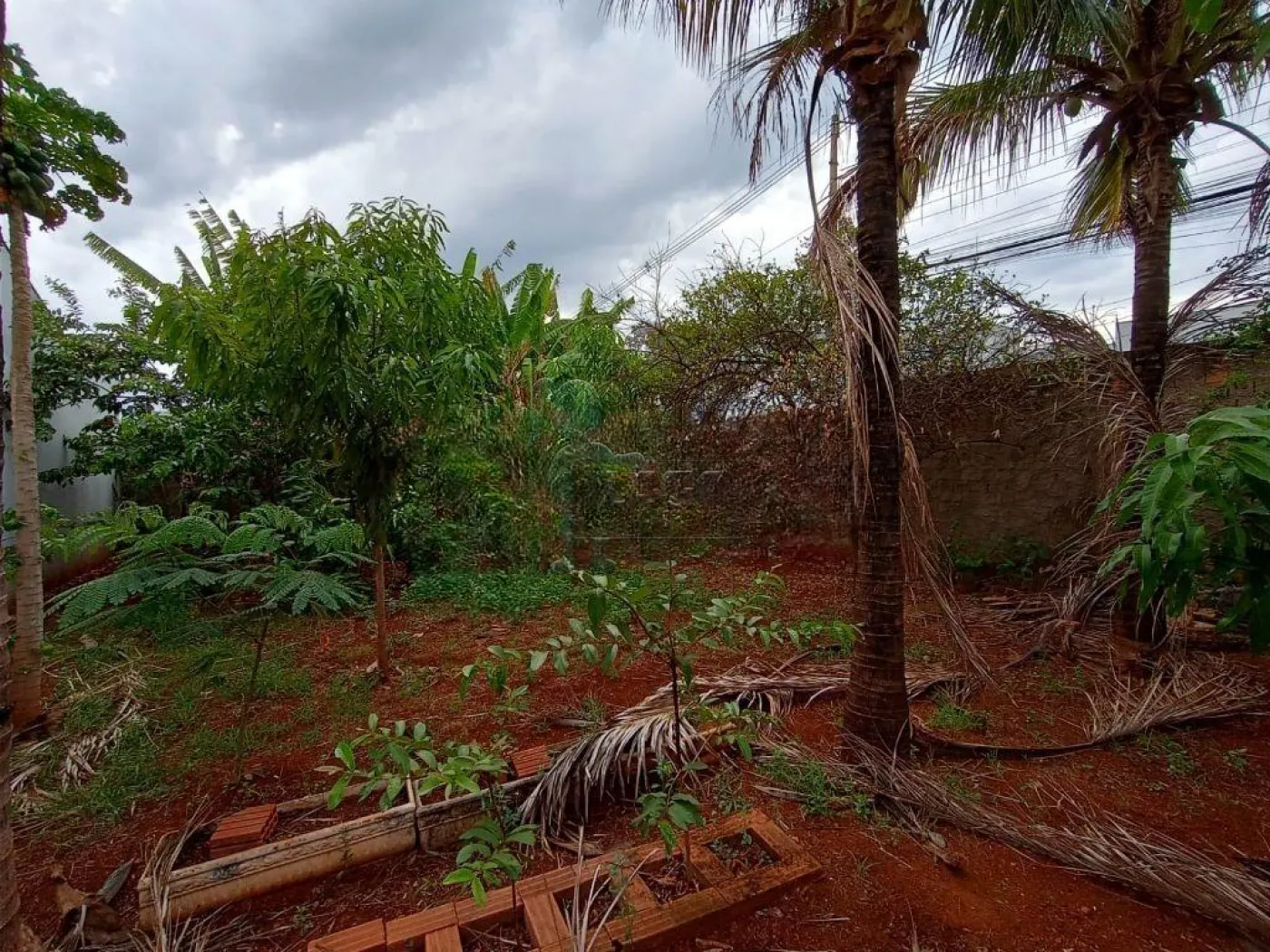 Alugar Terrenos / Padrão em Ribeirão Preto R$ 5.000,00 - Foto 2