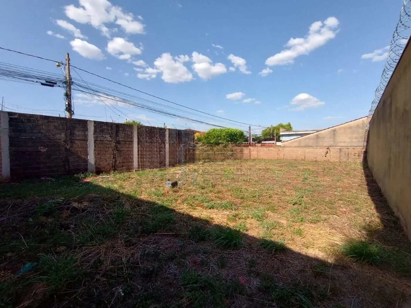 Alugar Terrenos / Padrão em Ribeirão Preto R$ 4.000,00 - Foto 1