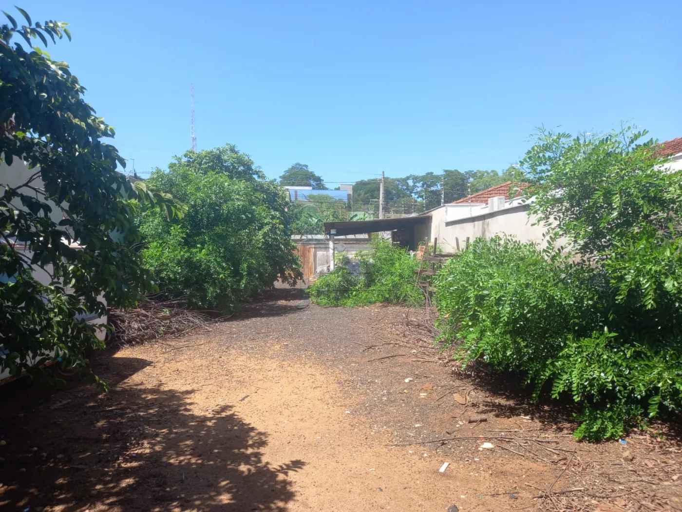 Comprar Terrenos / Padrão em Ribeirão Preto R$ 350.000,00 - Foto 6