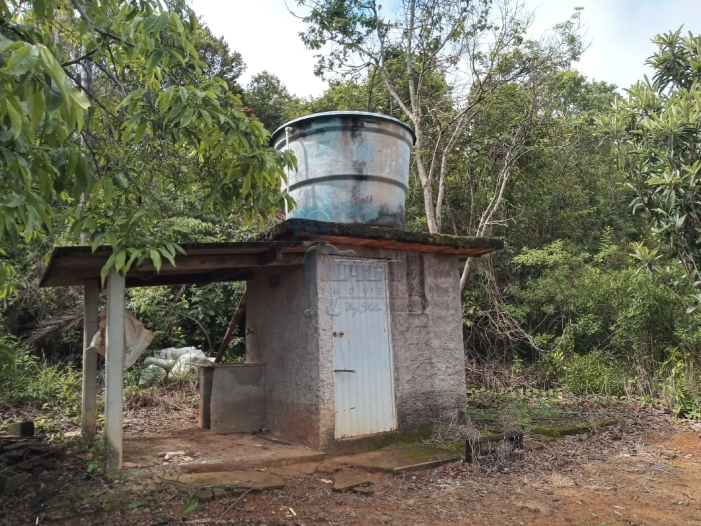 Comprar Rurais / Fazenda/Sítio em Capitólio R$ 2.000.000,00 - Foto 4