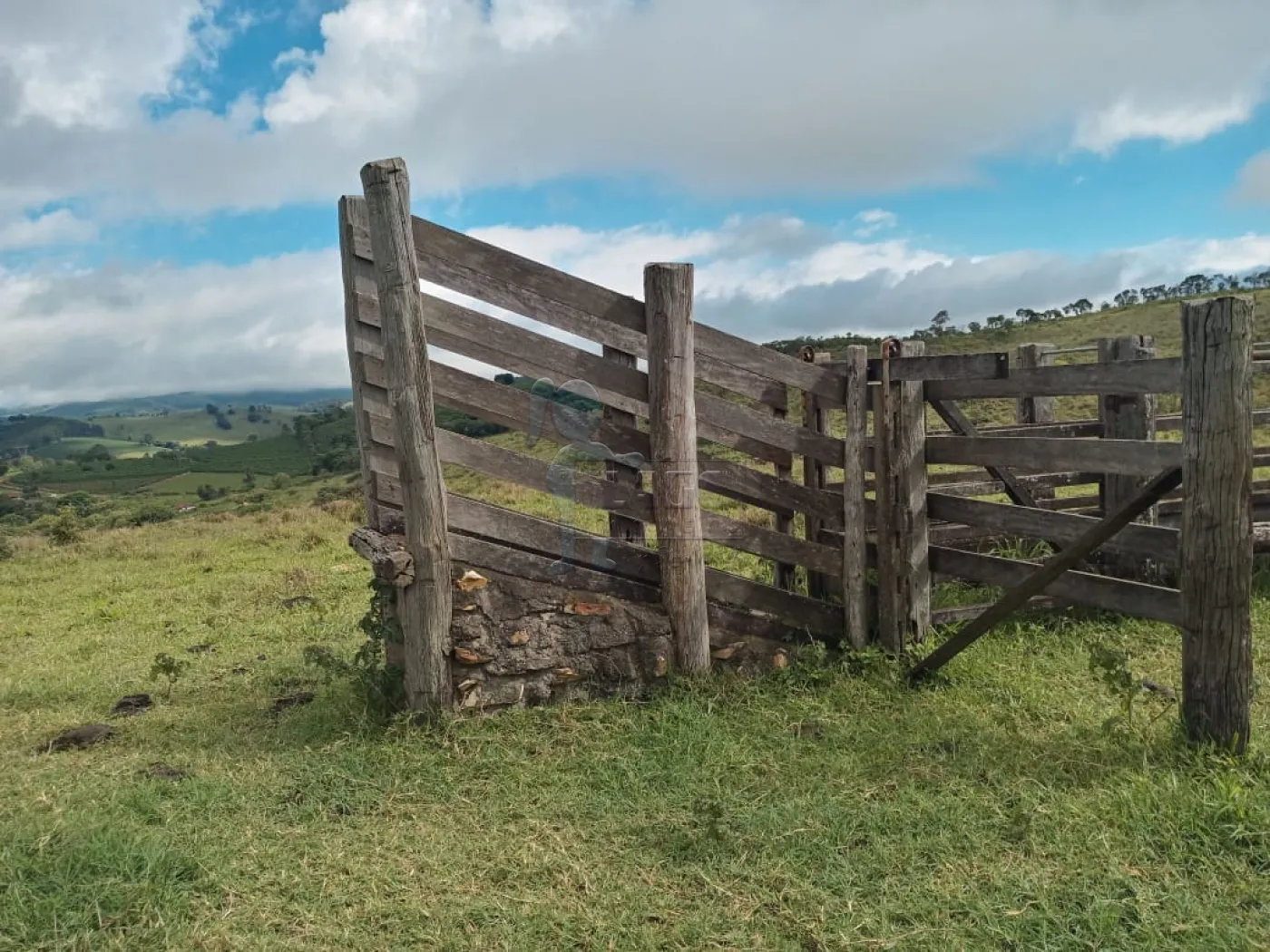 Comprar Rurais / Fazenda/Sítio em Capitólio R$ 2.000.000,00 - Foto 6