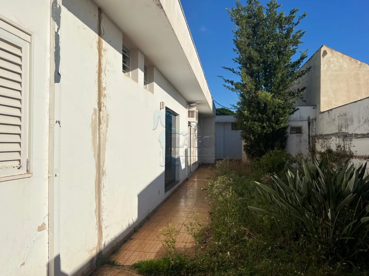 Alugar Comercial / Casa Comercial em Ribeirão Preto R$ 18.000,00 - Foto 9