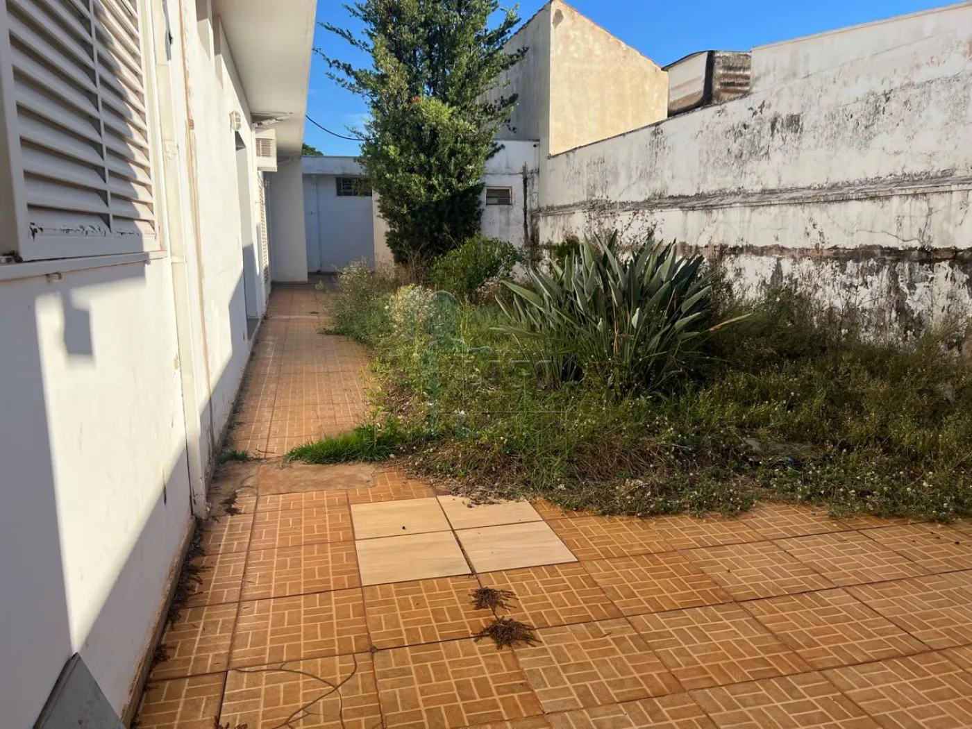 Alugar Comercial / Casa Comercial em Ribeirão Preto R$ 18.000,00 - Foto 15