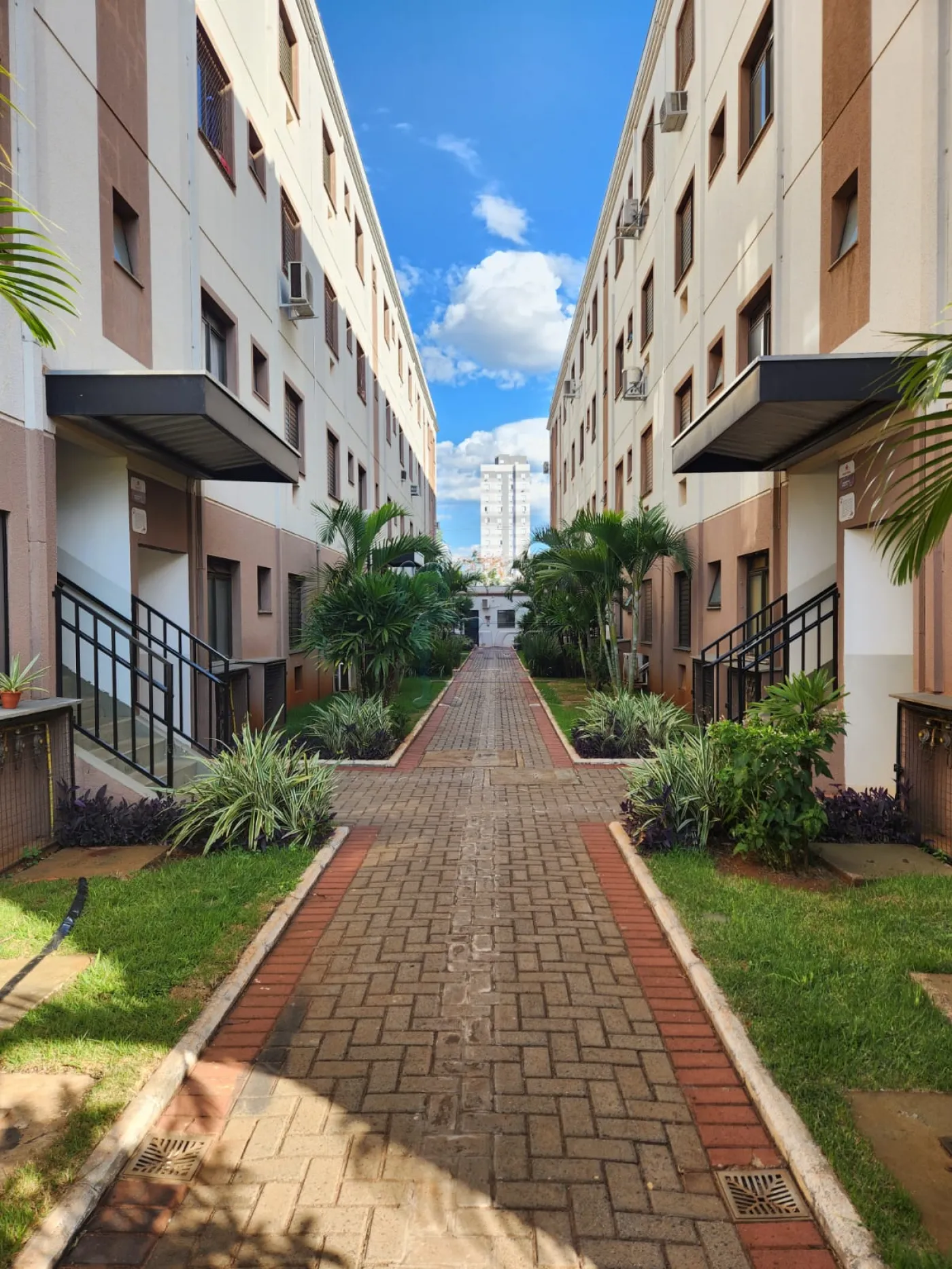 Alugar Apartamentos / Padrão em Ribeirão Preto R$ 850,00 - Foto 23