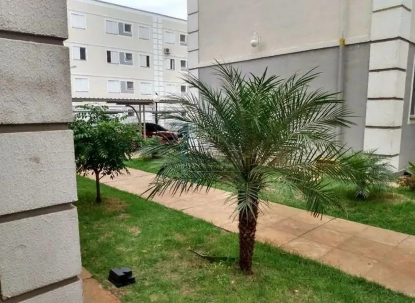 Alugar Apartamentos / Padrão em Ribeirão Preto R$ 700,00 - Foto 11