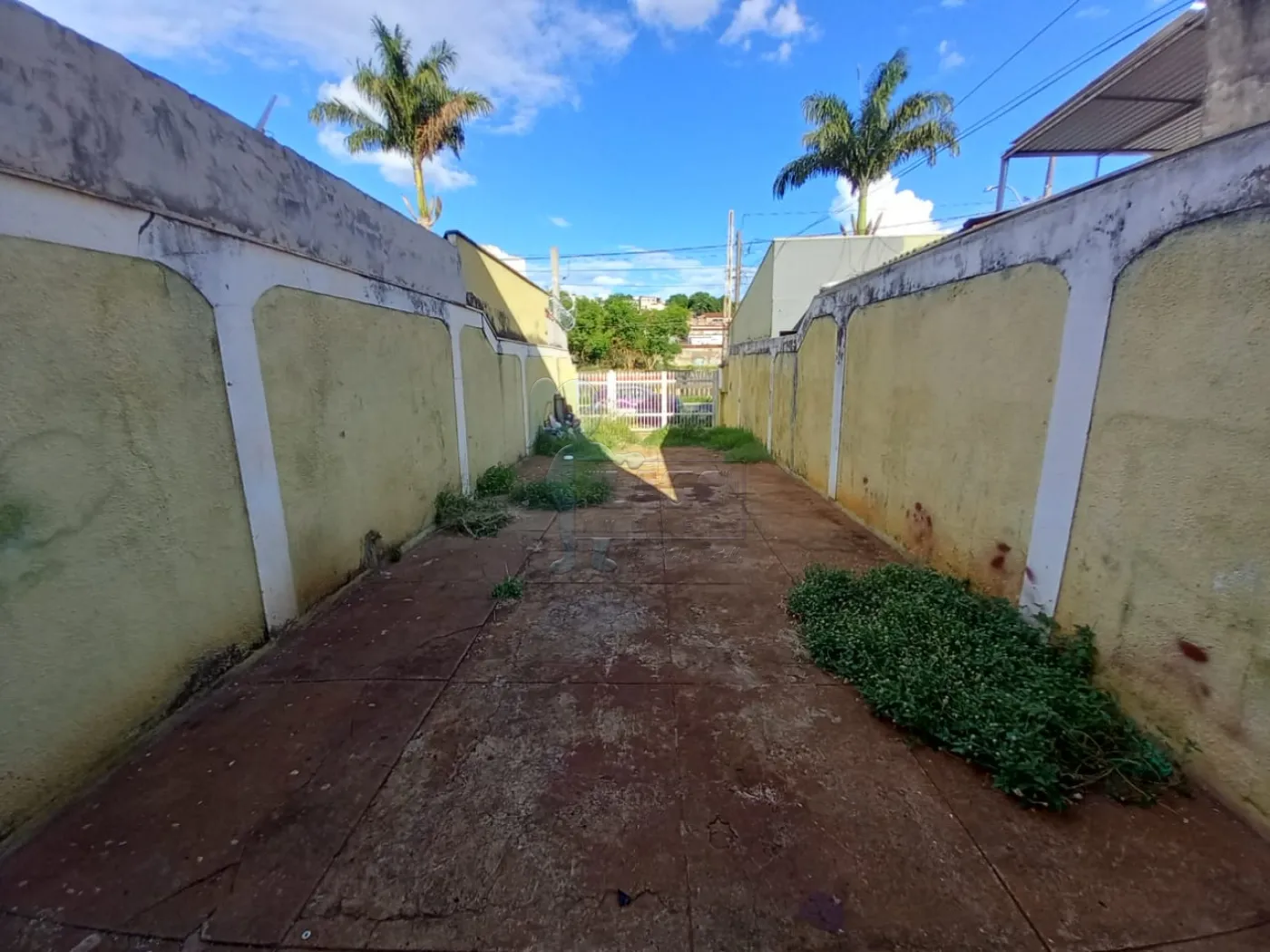 Alugar Casas / Padrão em Ribeirão Preto R$ 1.200,00 - Foto 4