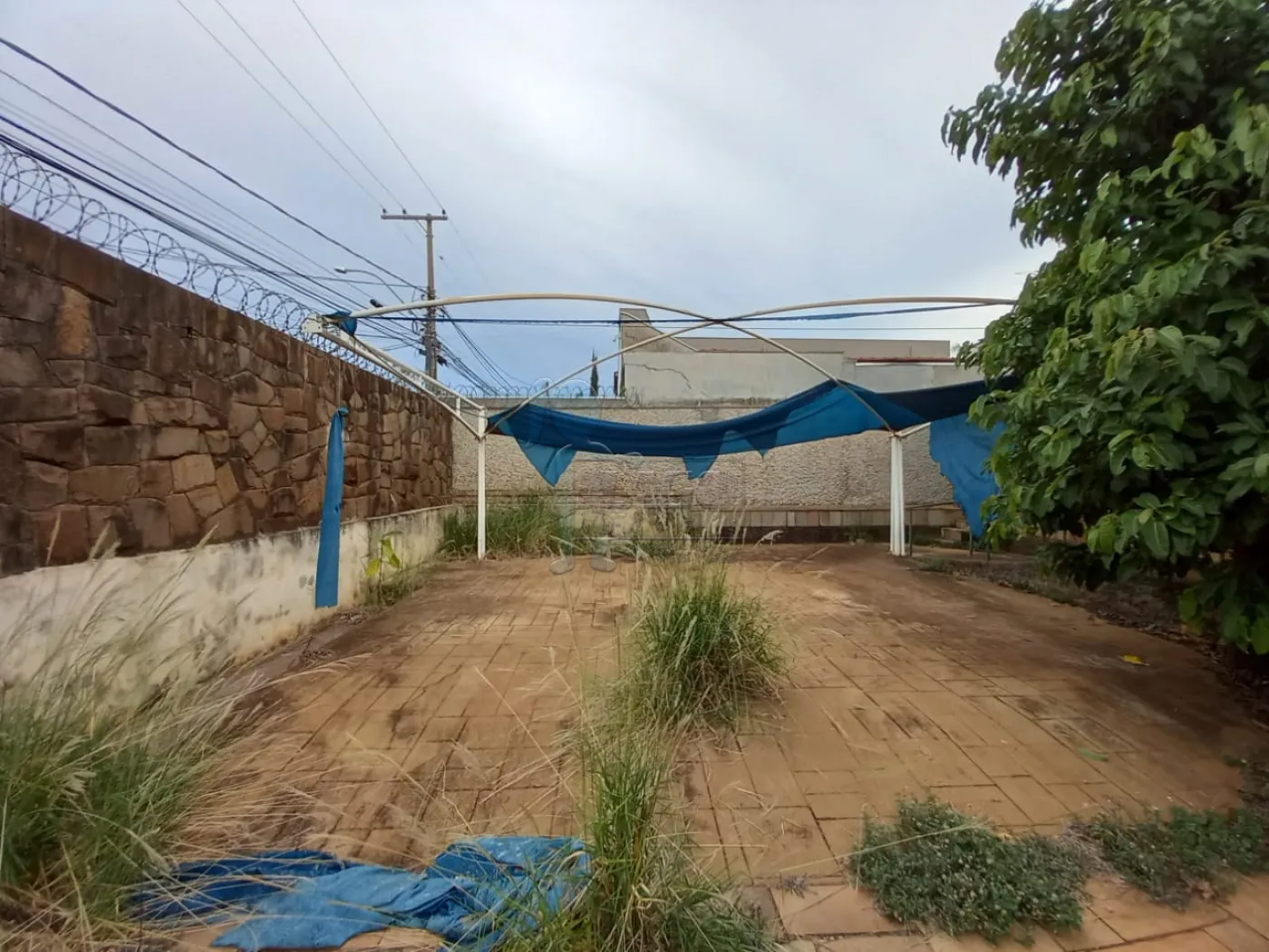 Alugar Comercial / Casa Comercial em Ribeirão Preto R$ 5.500,00 - Foto 25