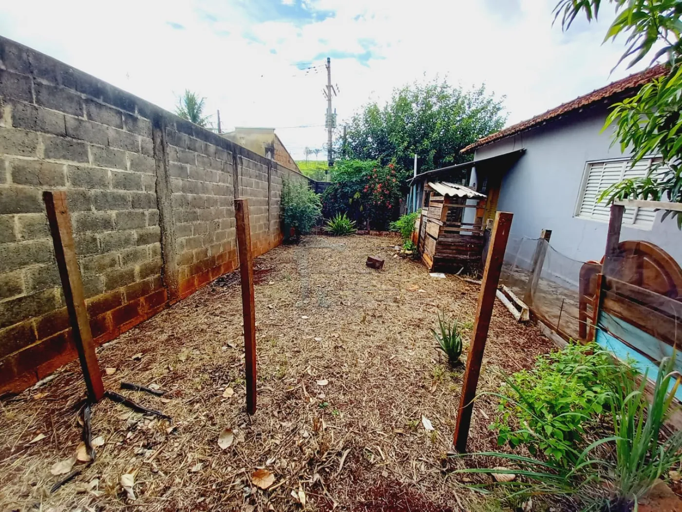 Alugar Casas / Padrão em Ribeirão Preto R$ 1.000,00 - Foto 11