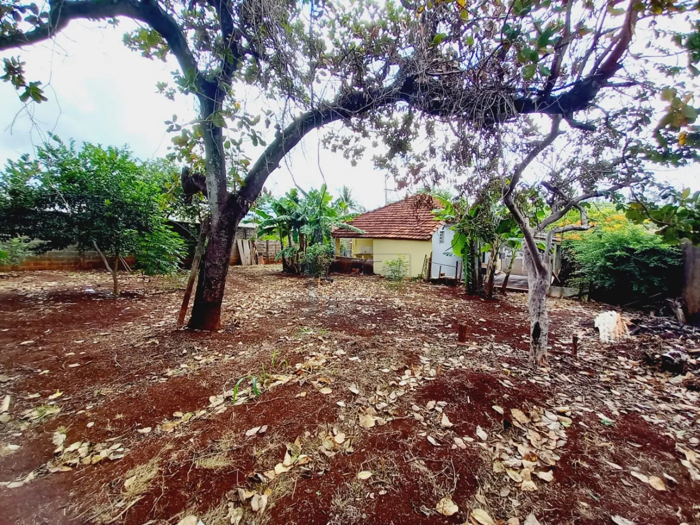 Alugar Casas / Padrão em Ribeirão Preto R$ 1.000,00 - Foto 14