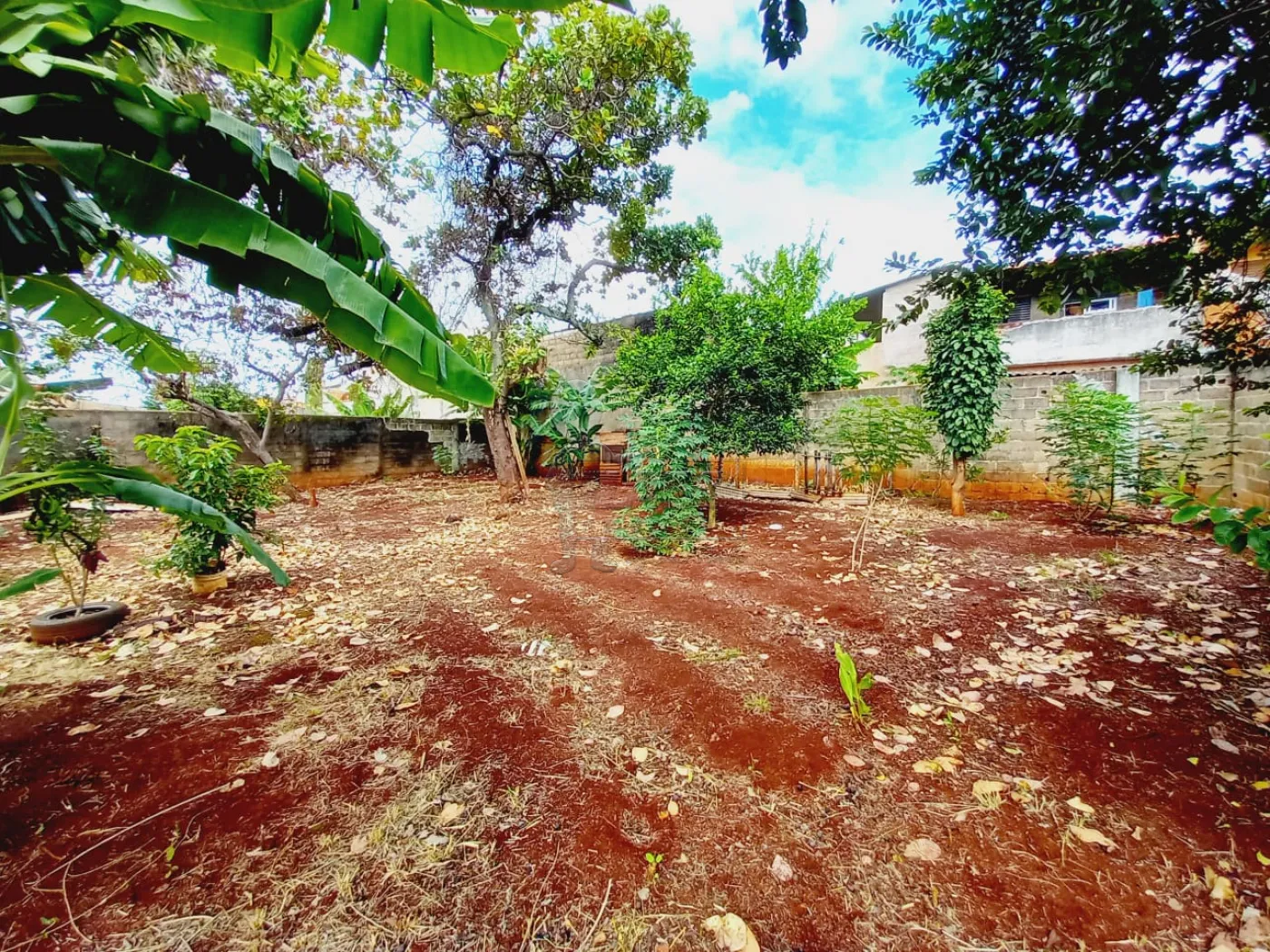 Alugar Casas / Padrão em Ribeirão Preto R$ 1.000,00 - Foto 16