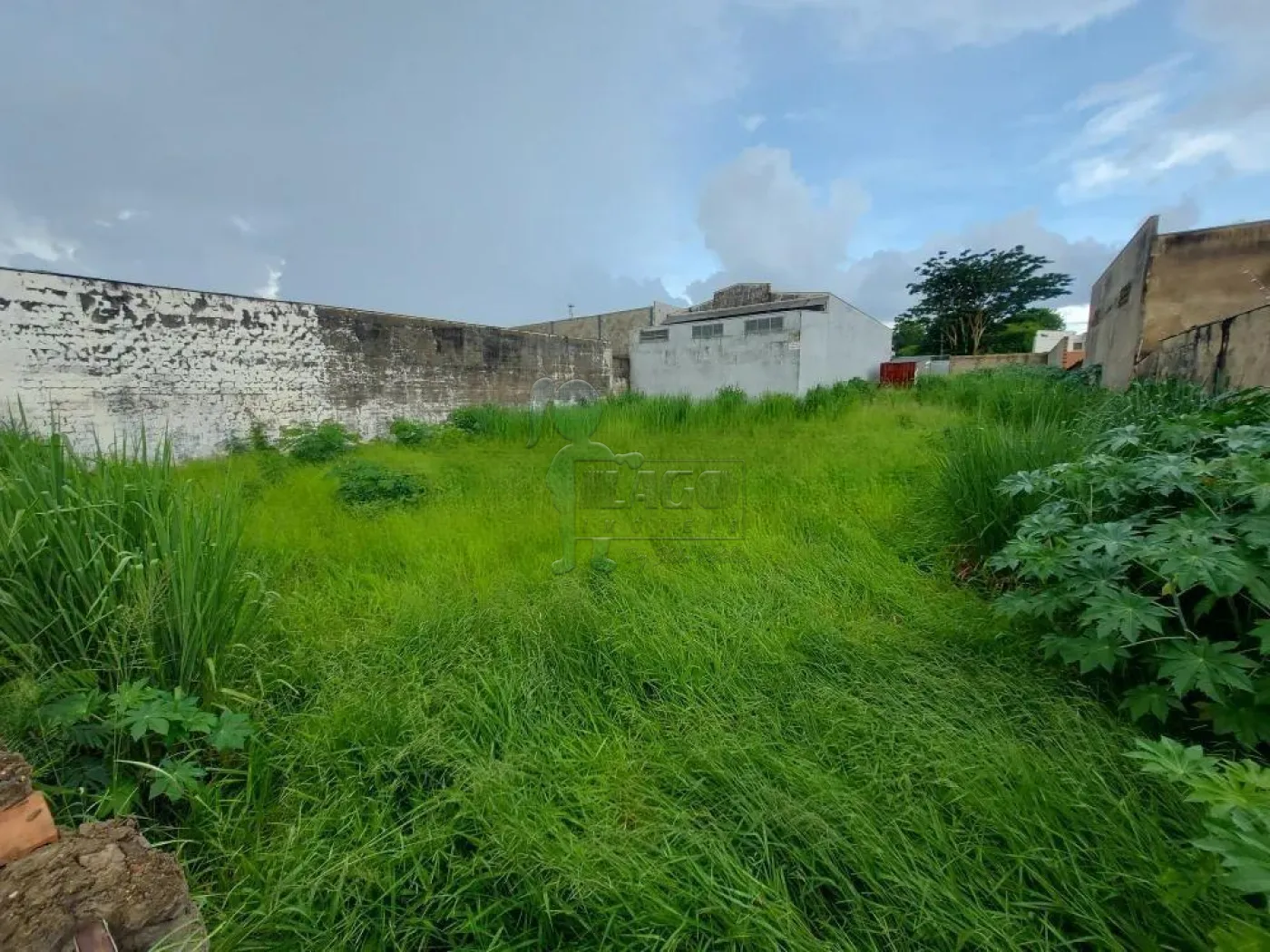 Alugar Terrenos / Padrão em Ribeirão Preto R$ 2.100,00 - Foto 1