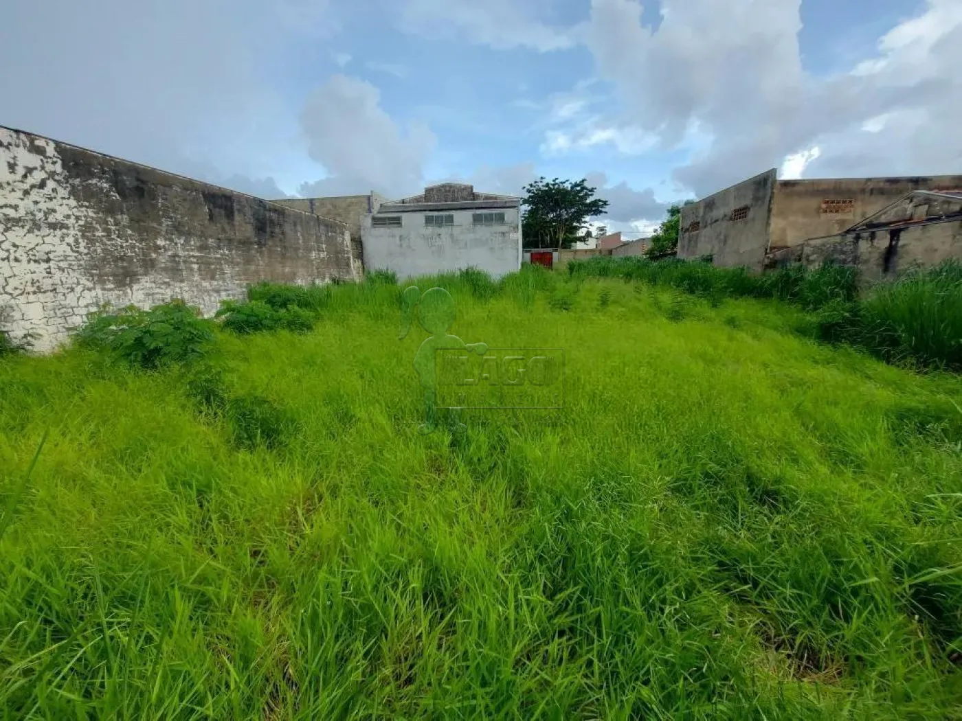 Alugar Terrenos / Padrão em Ribeirão Preto R$ 2.100,00 - Foto 2