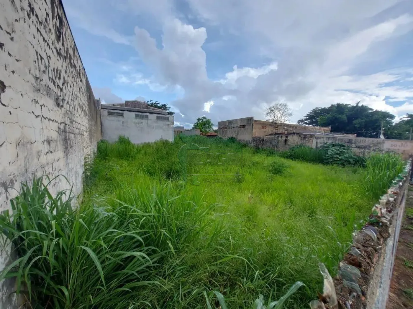 Alugar Terrenos / Padrão em Ribeirão Preto R$ 2.100,00 - Foto 3