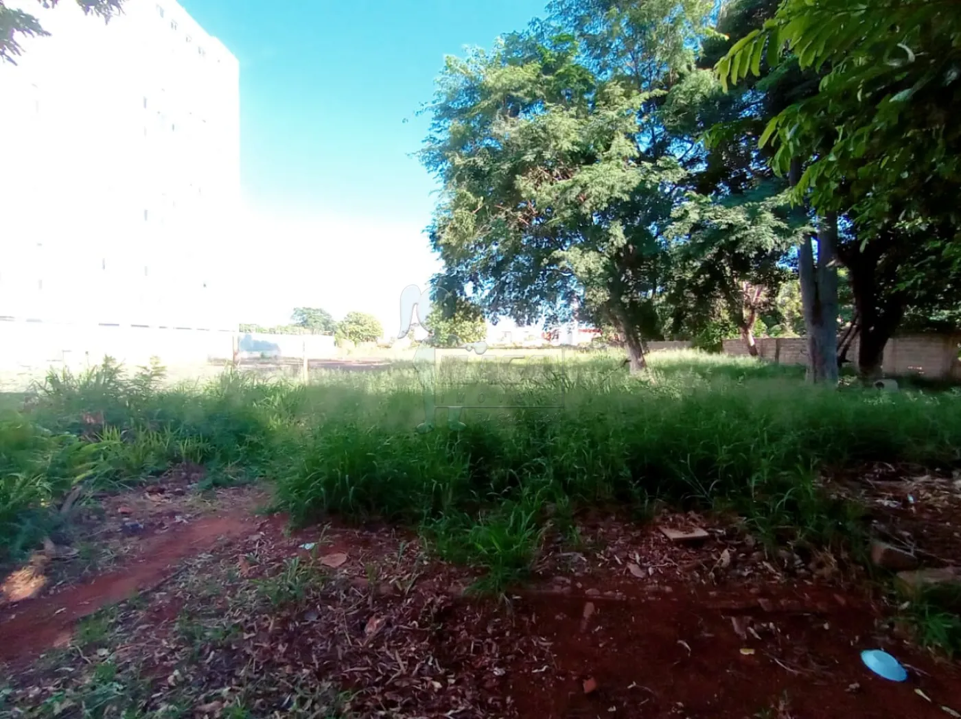 Comprar Terrenos / Padrão em Ribeirão Preto R$ 1.000.000,00 - Foto 3