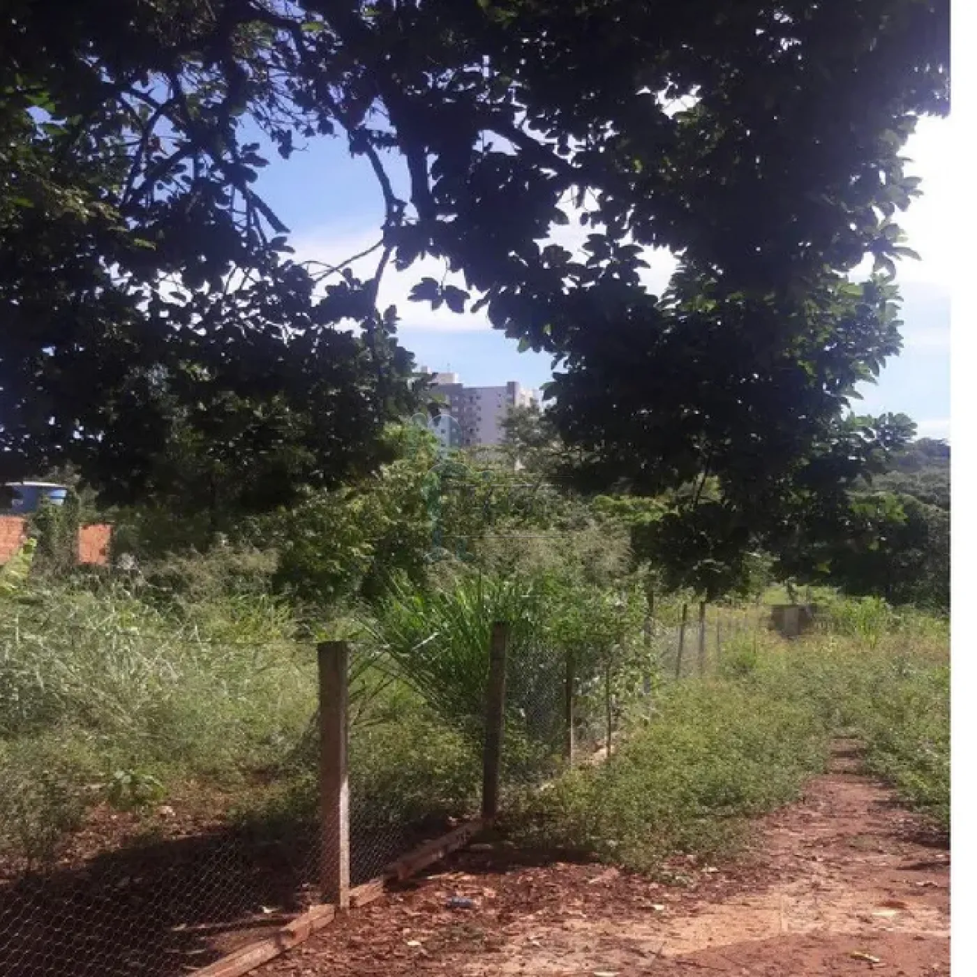 Comprar Terrenos / Padrão em Ribeirão Preto R$ 850.000,00 - Foto 4