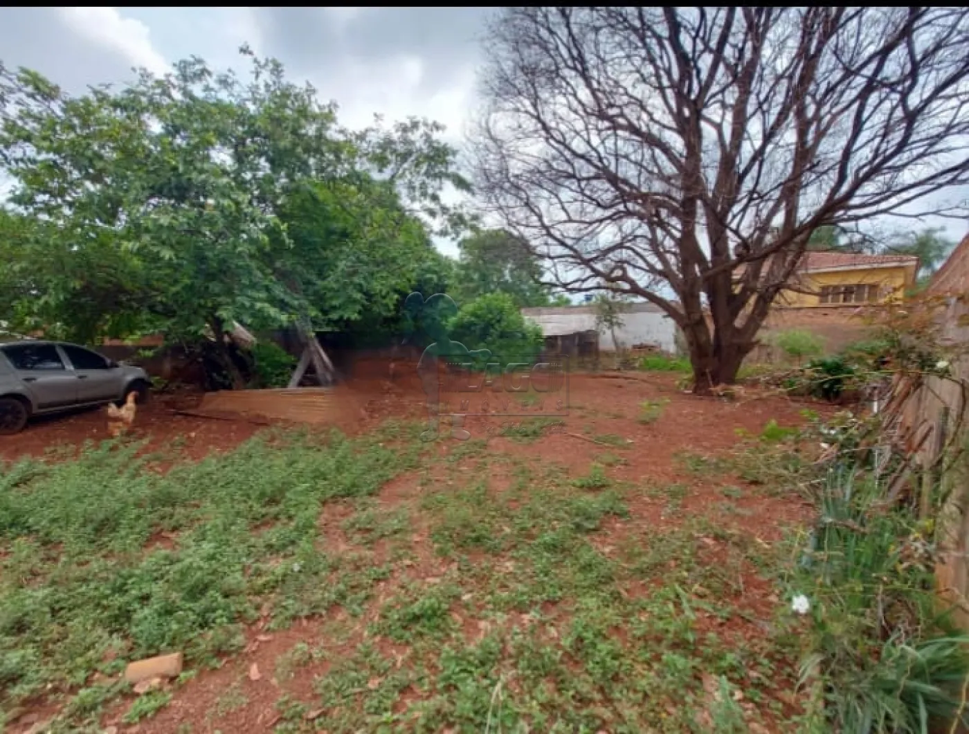 Comprar Comercial / Casa Comercial em Ribeirão Preto R$ 4.300.000,00 - Foto 1