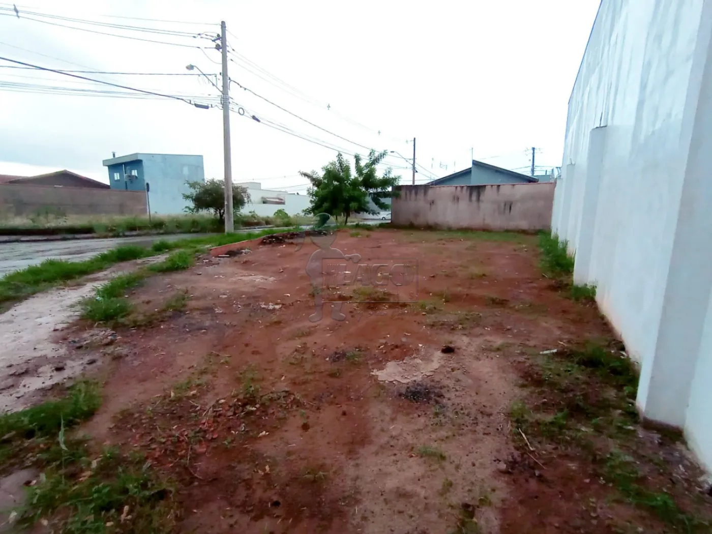 Alugar Terrenos / Padrão em Ribeirão Preto R$ 1.000,00 - Foto 3